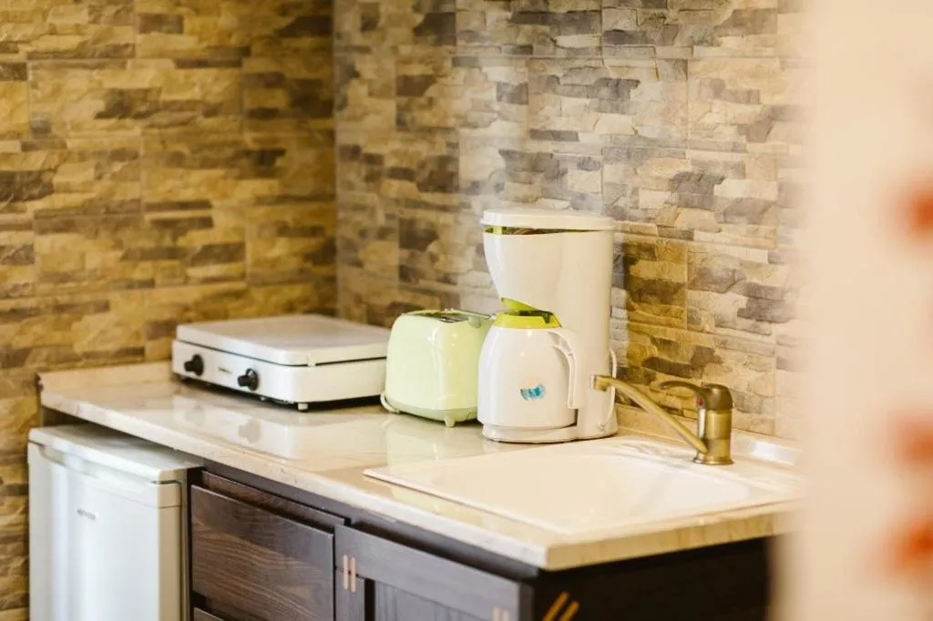 Kitchen or kitchenette in Hanul Conitei