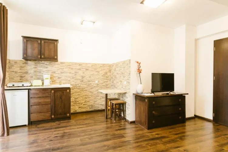 Kitchen or kitchenette in Hanul Conitei