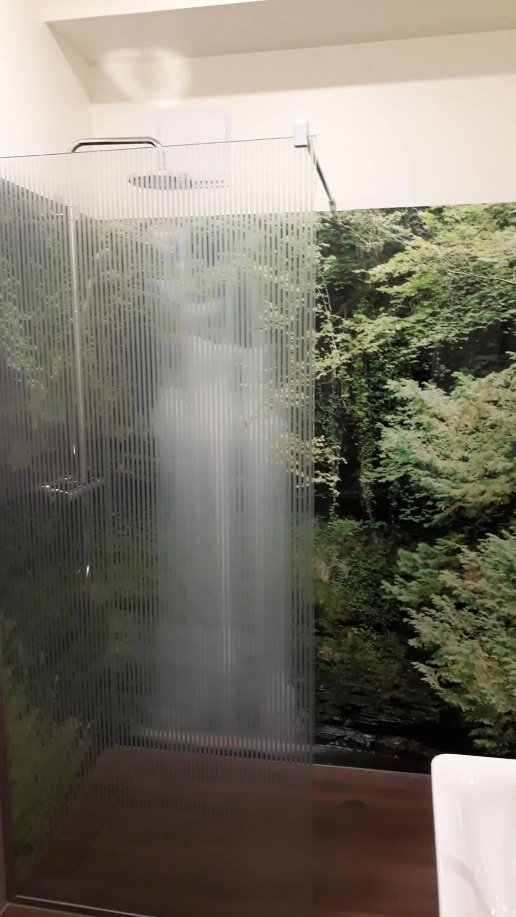 Shower in Waldhotel Rainau
