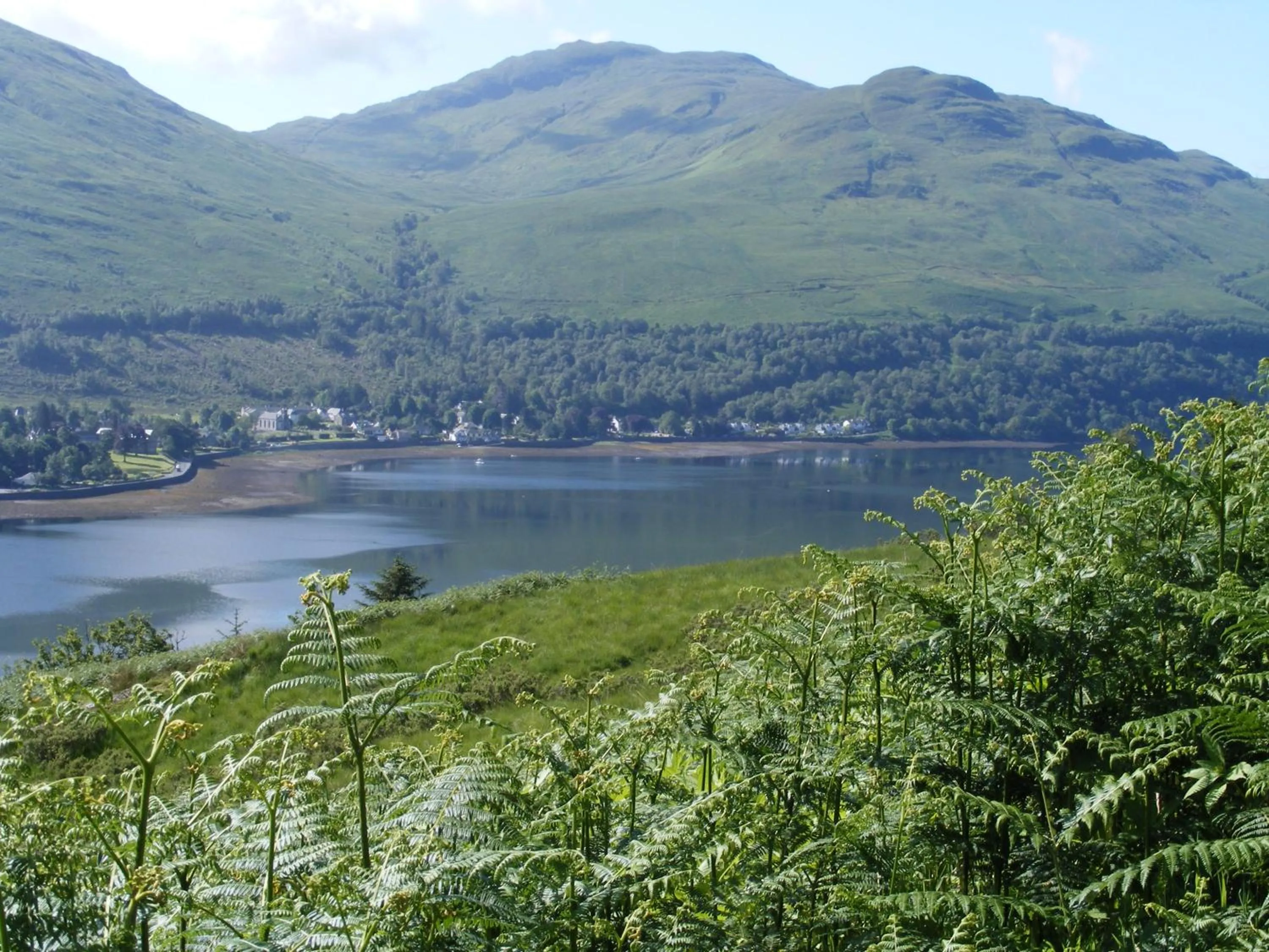 Natural landscape in TwoStones