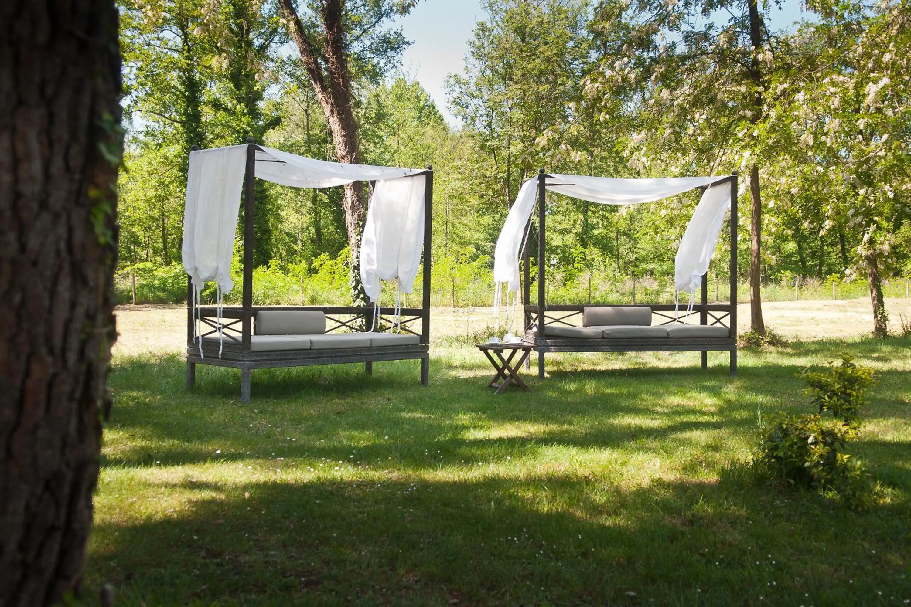 Garden in Hotel Stella Della Versilia