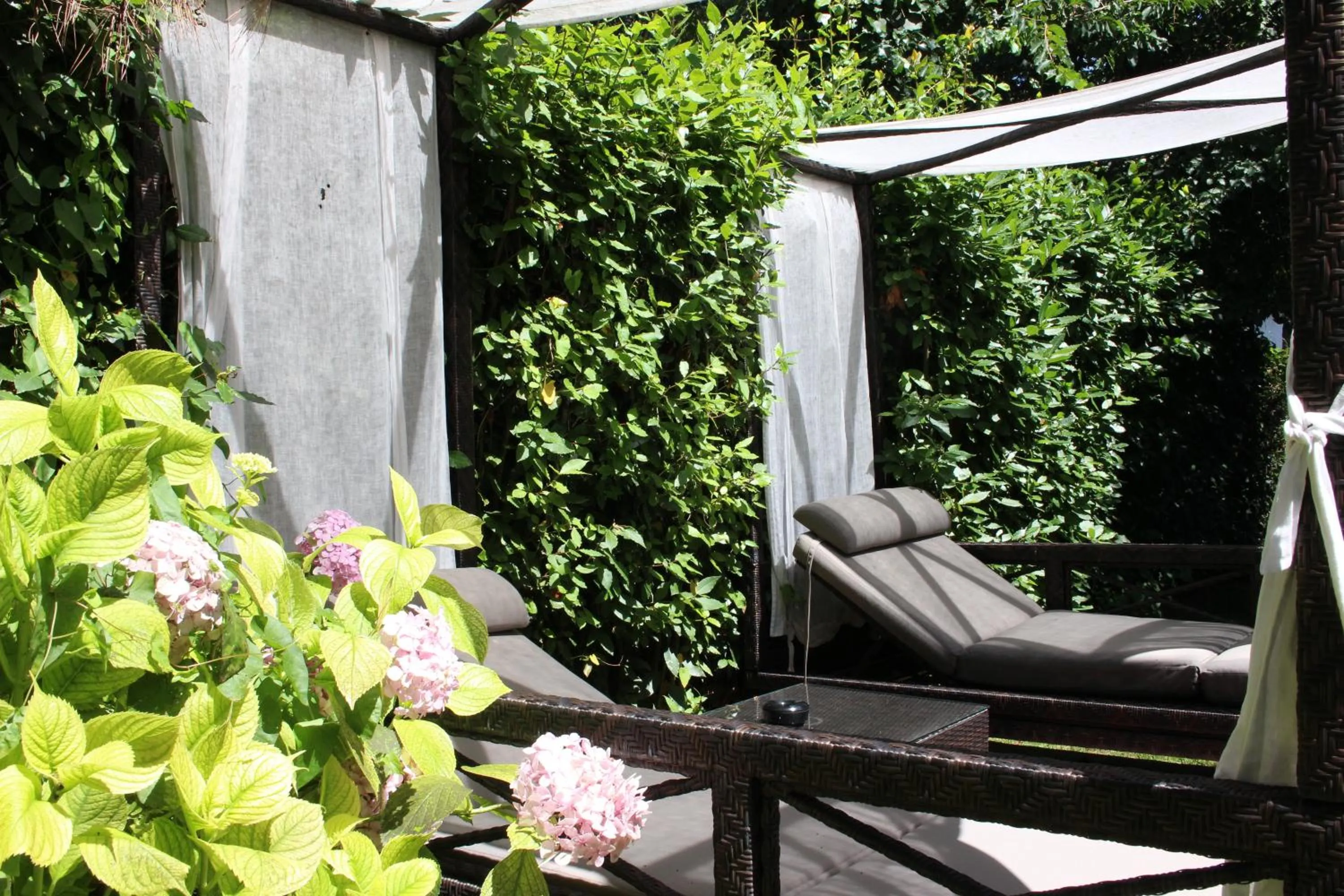 Garden in Hotel Stella Della Versilia