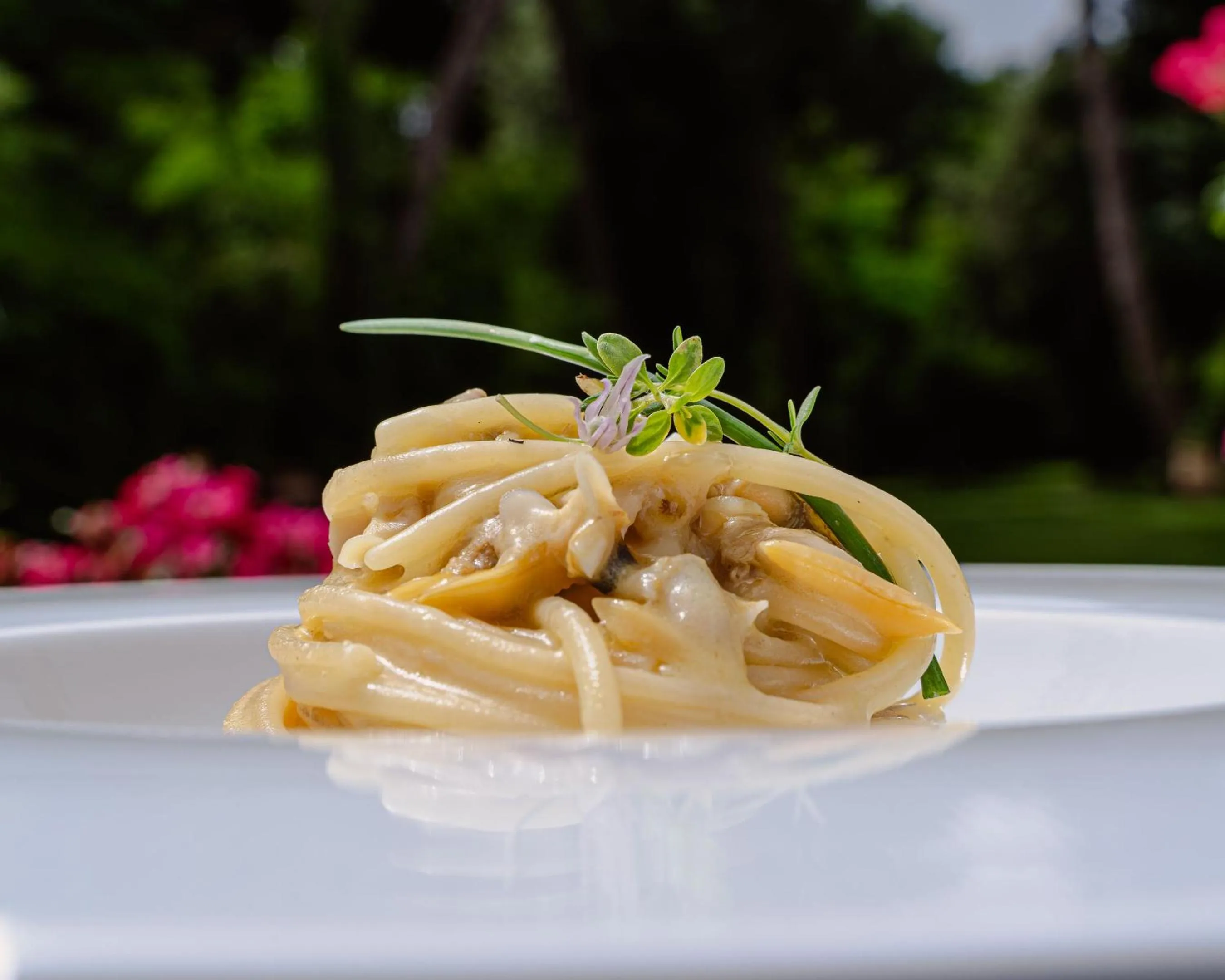 Restaurant/places to eat in Hotel Stella Della Versilia