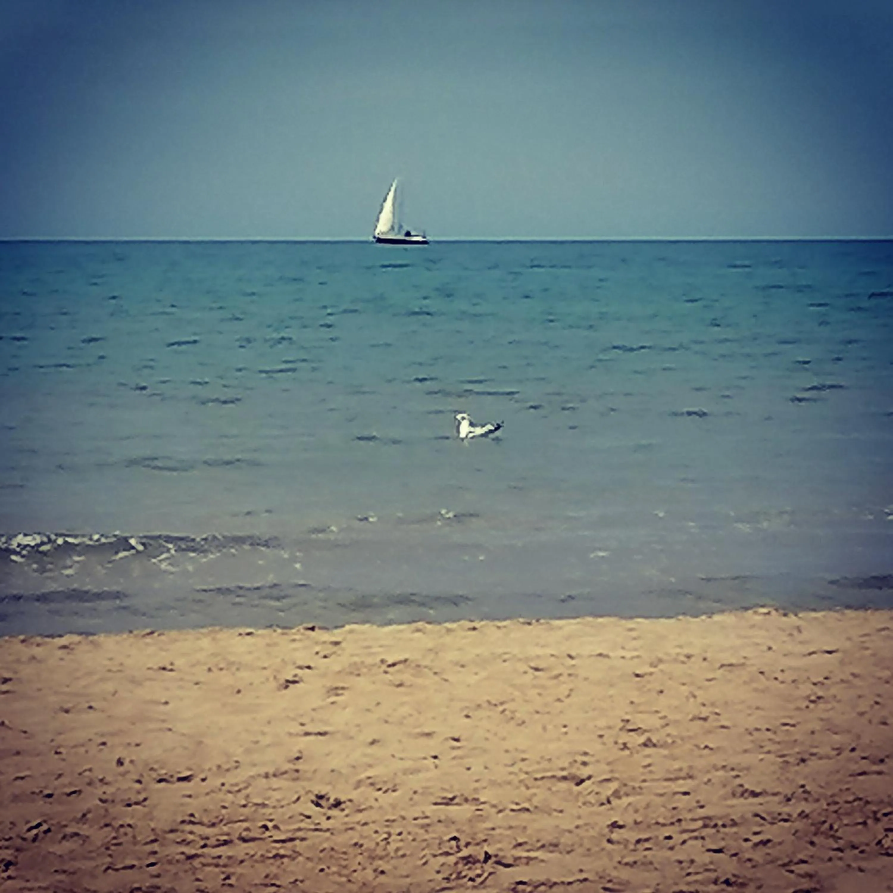 Beach in Albergo 2 Pini