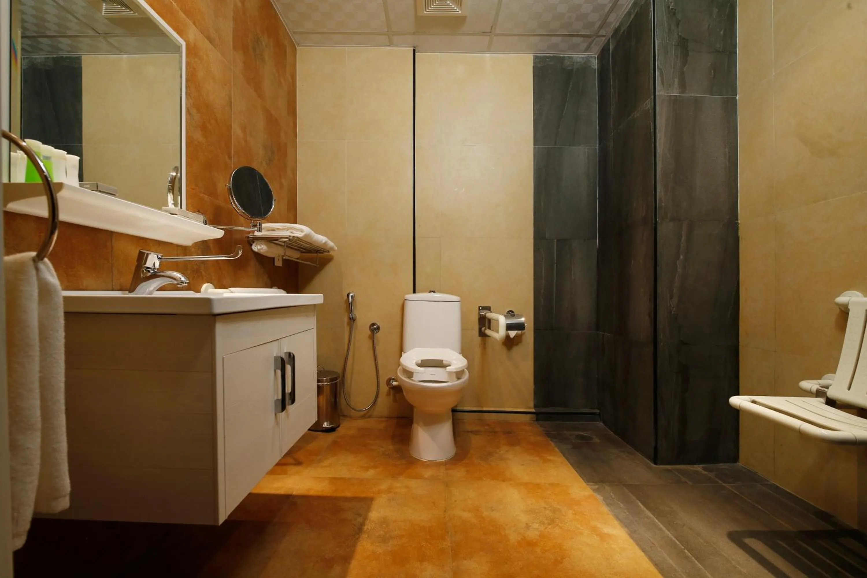 Toilet in Hotel Park Residency