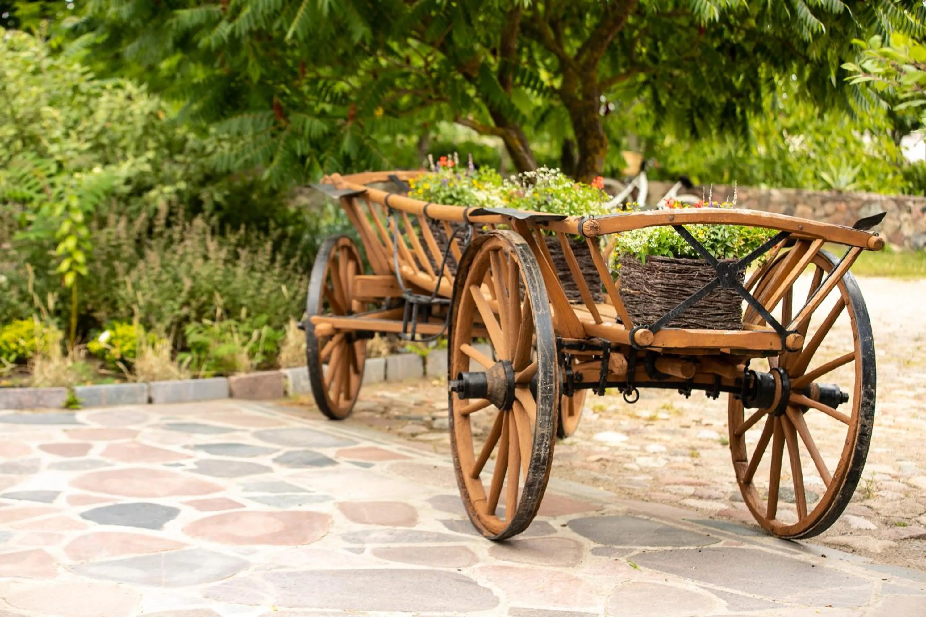Day in Targowski Dwór Mazury
