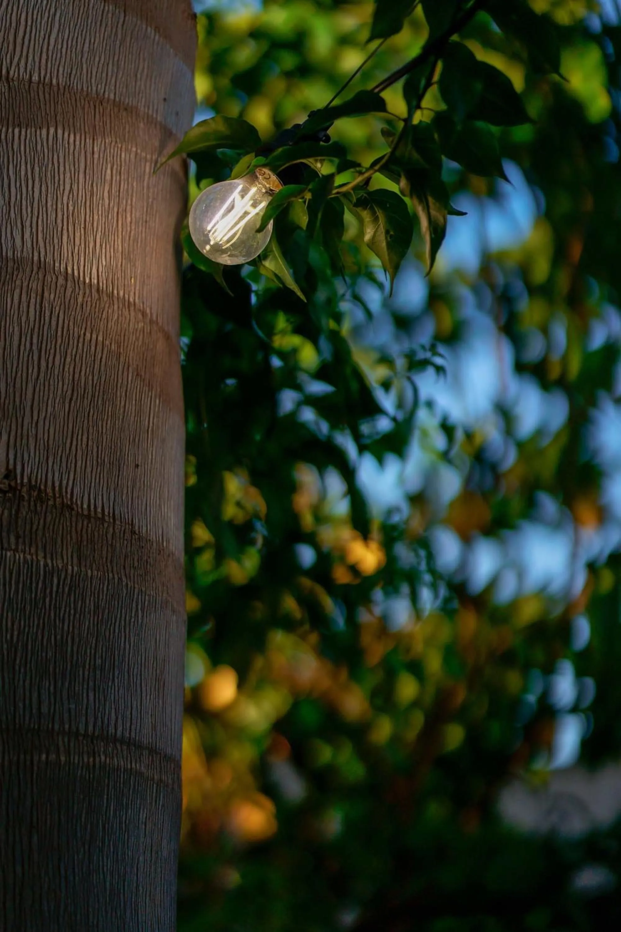 Antico Frantoio Cairoli B&B Exclusive Room