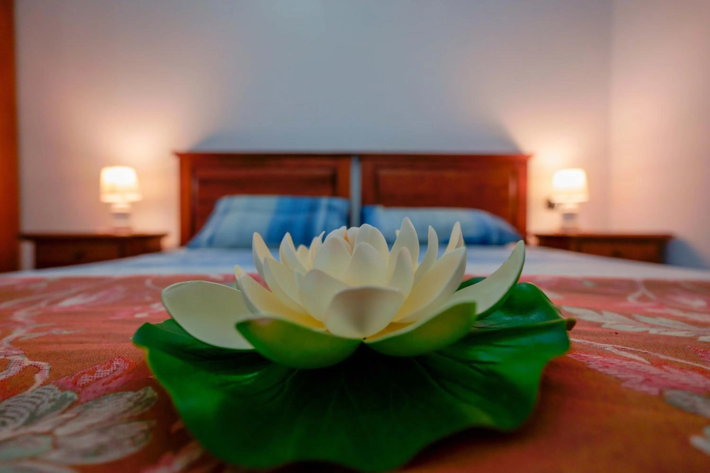 Photo of the whole room, Bed in Antico Frantoio Cairoli B&B Exclusive Room