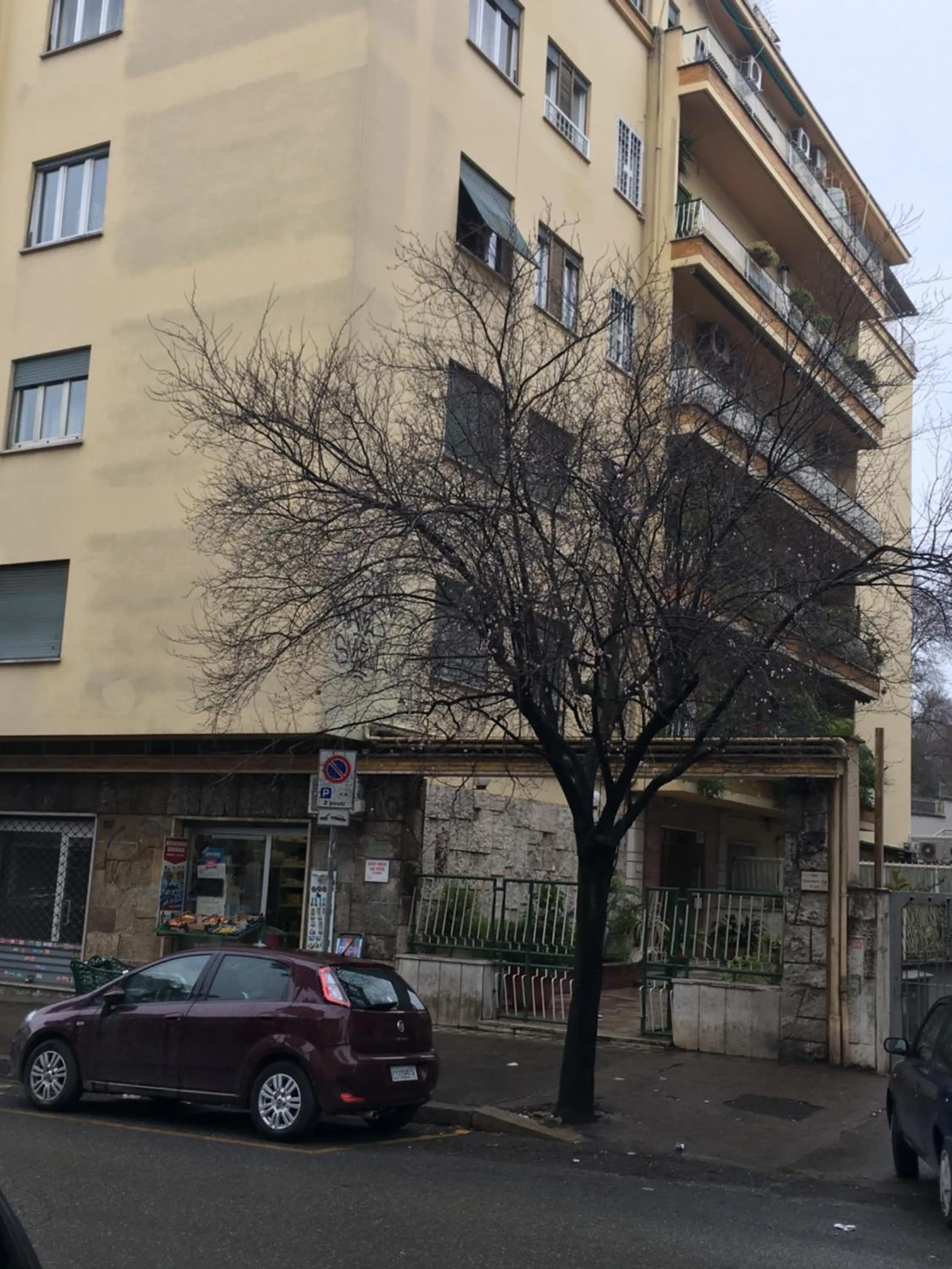 Property building in Domum Vaticani