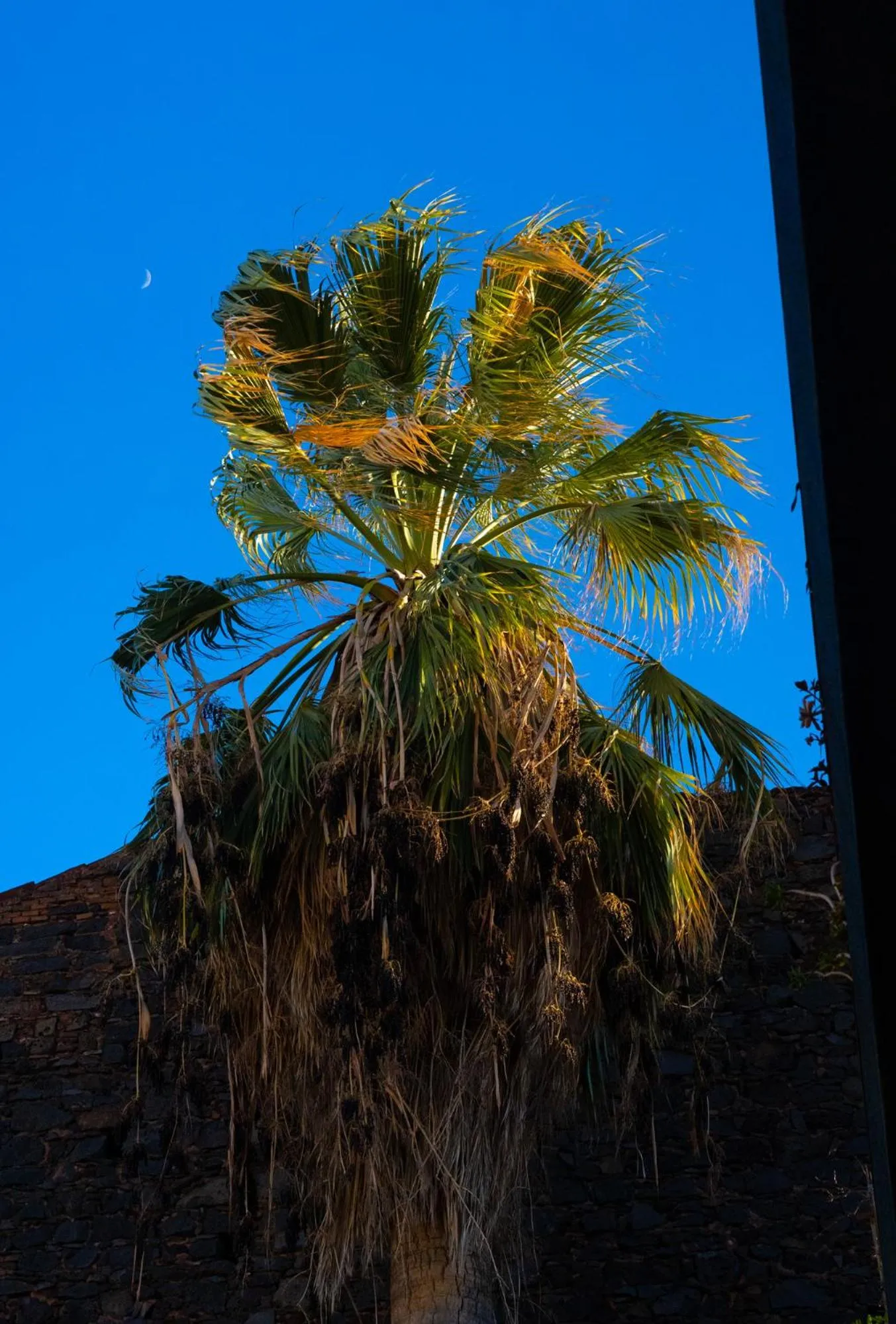 Natural landscape in B&B Opera