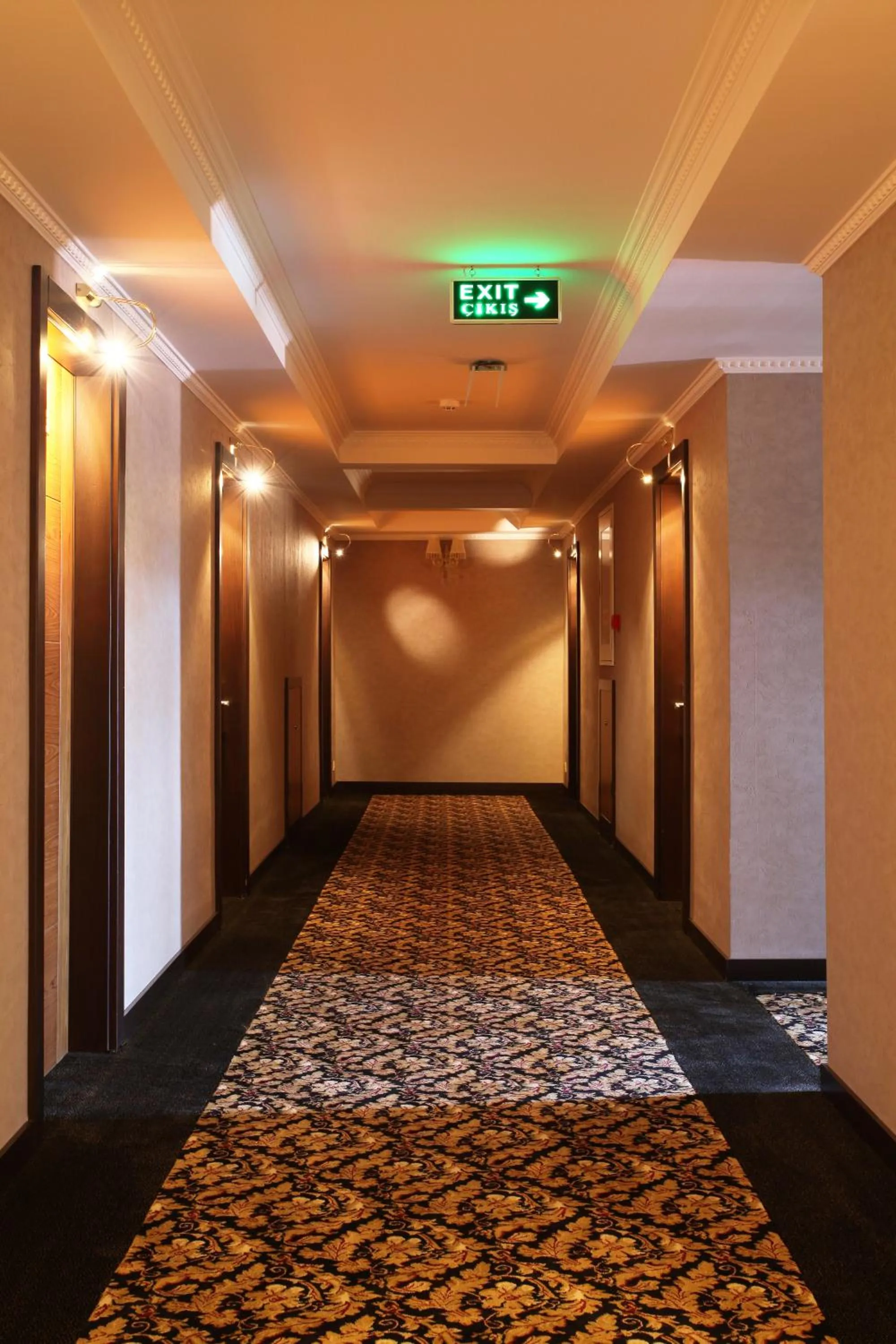 Decorative detail in Arya Hotel Sakarya