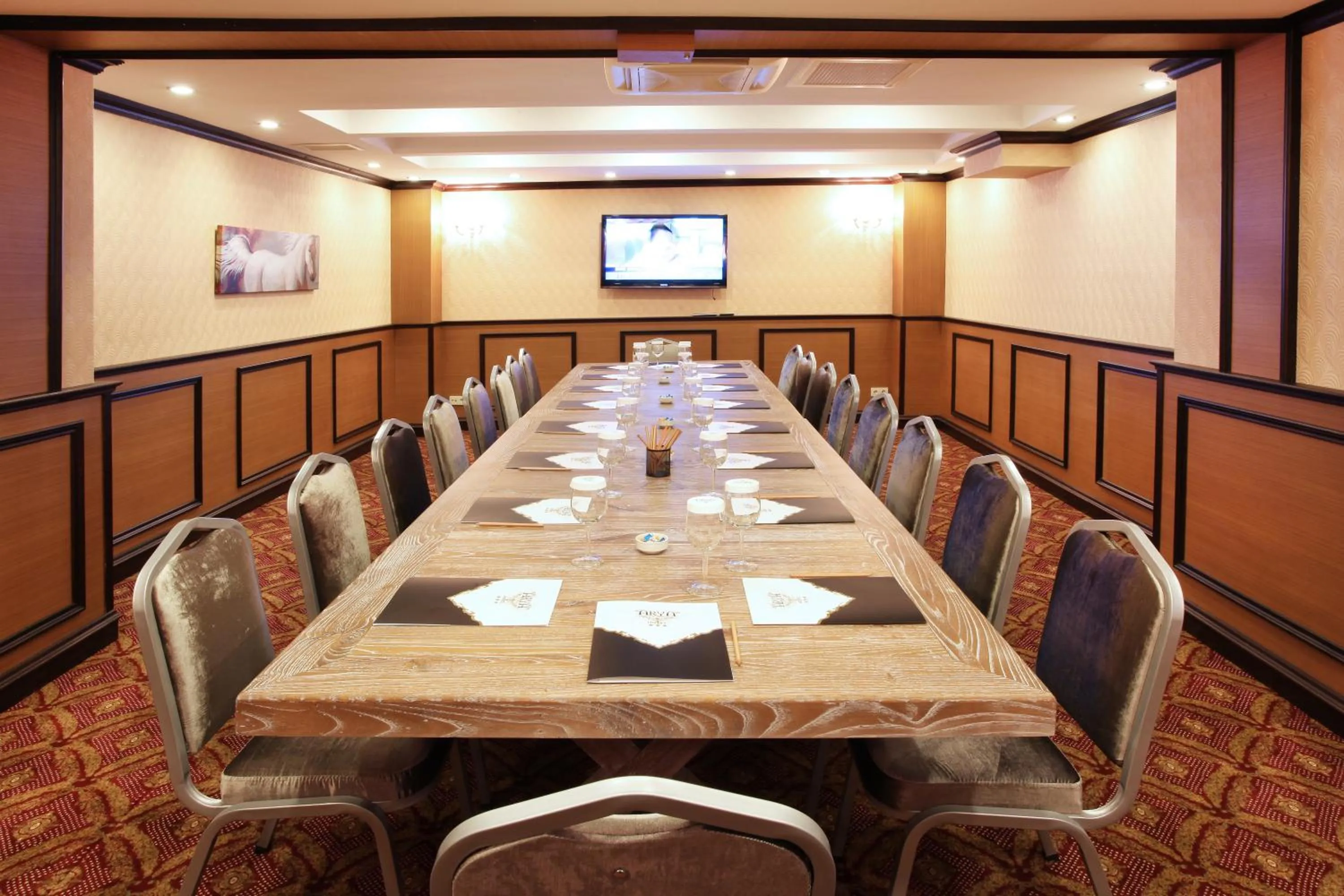 Business facilities in Arya Hotel Sakarya