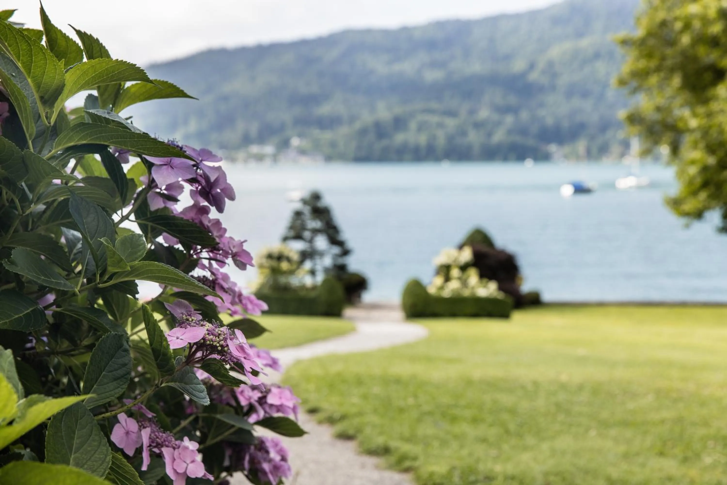 View (from property/room) in Dermuth Hotels – Parkvilla Wörth