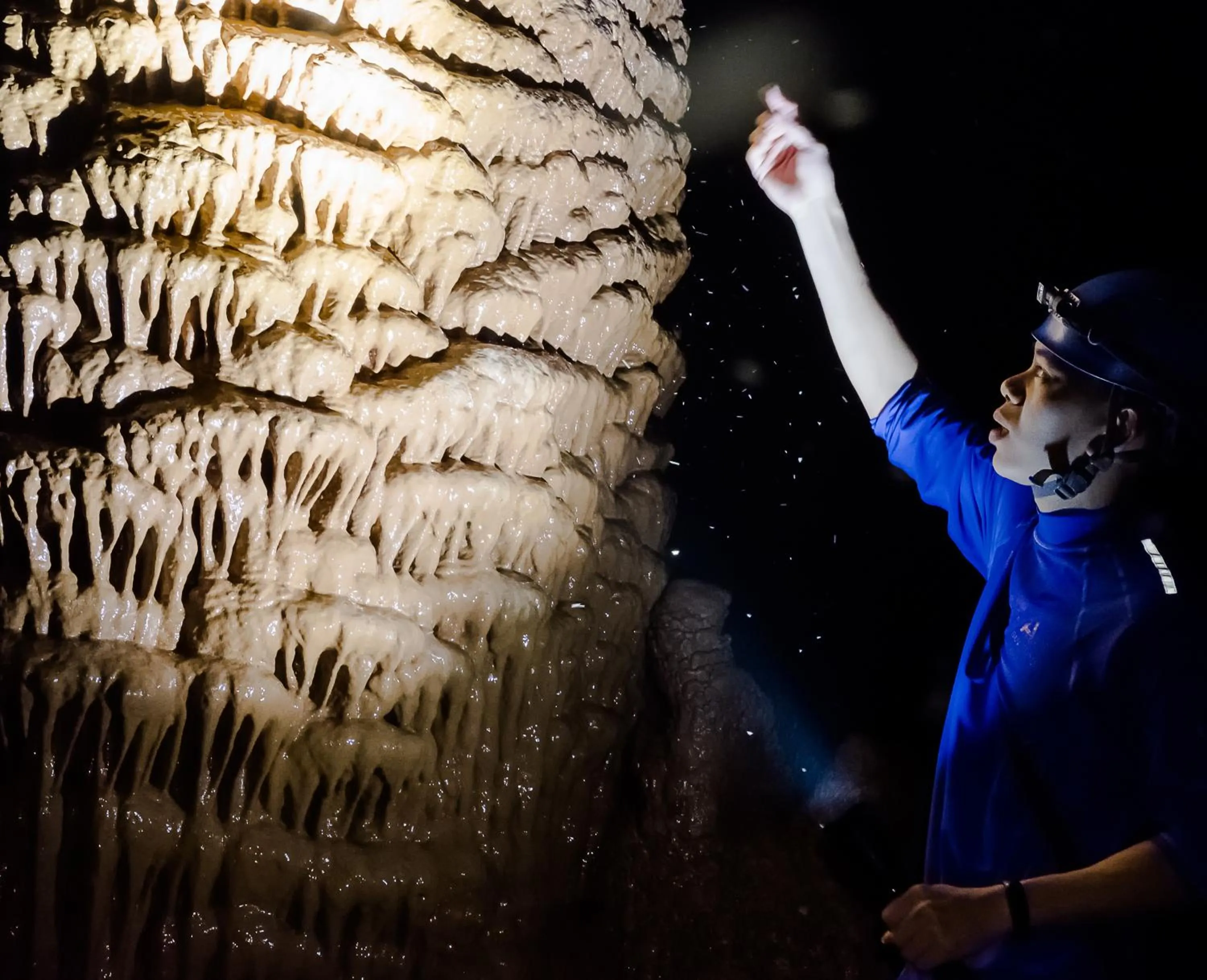 Activities in Carambola Bungalow