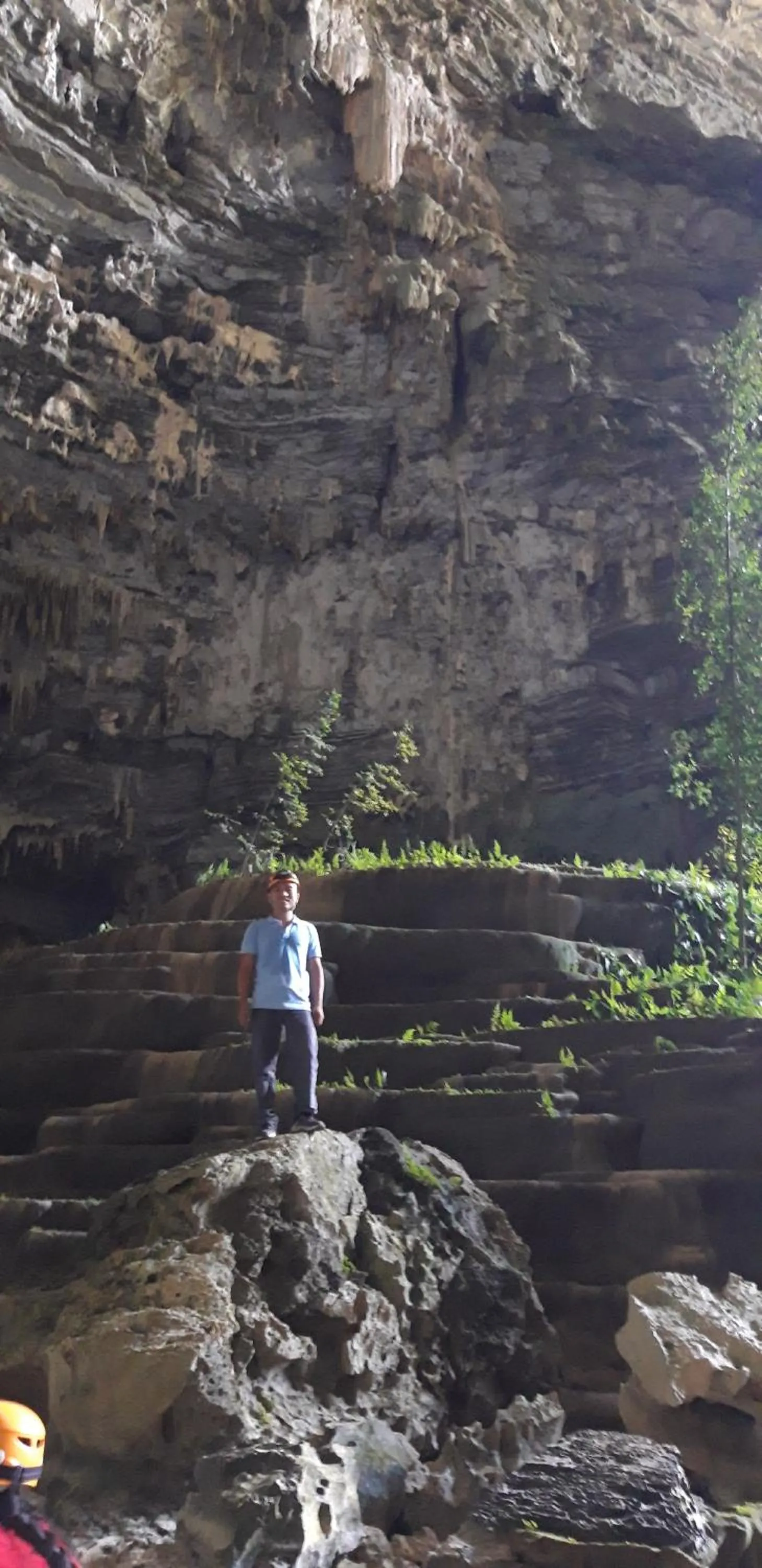 Activities in Carambola Bungalow