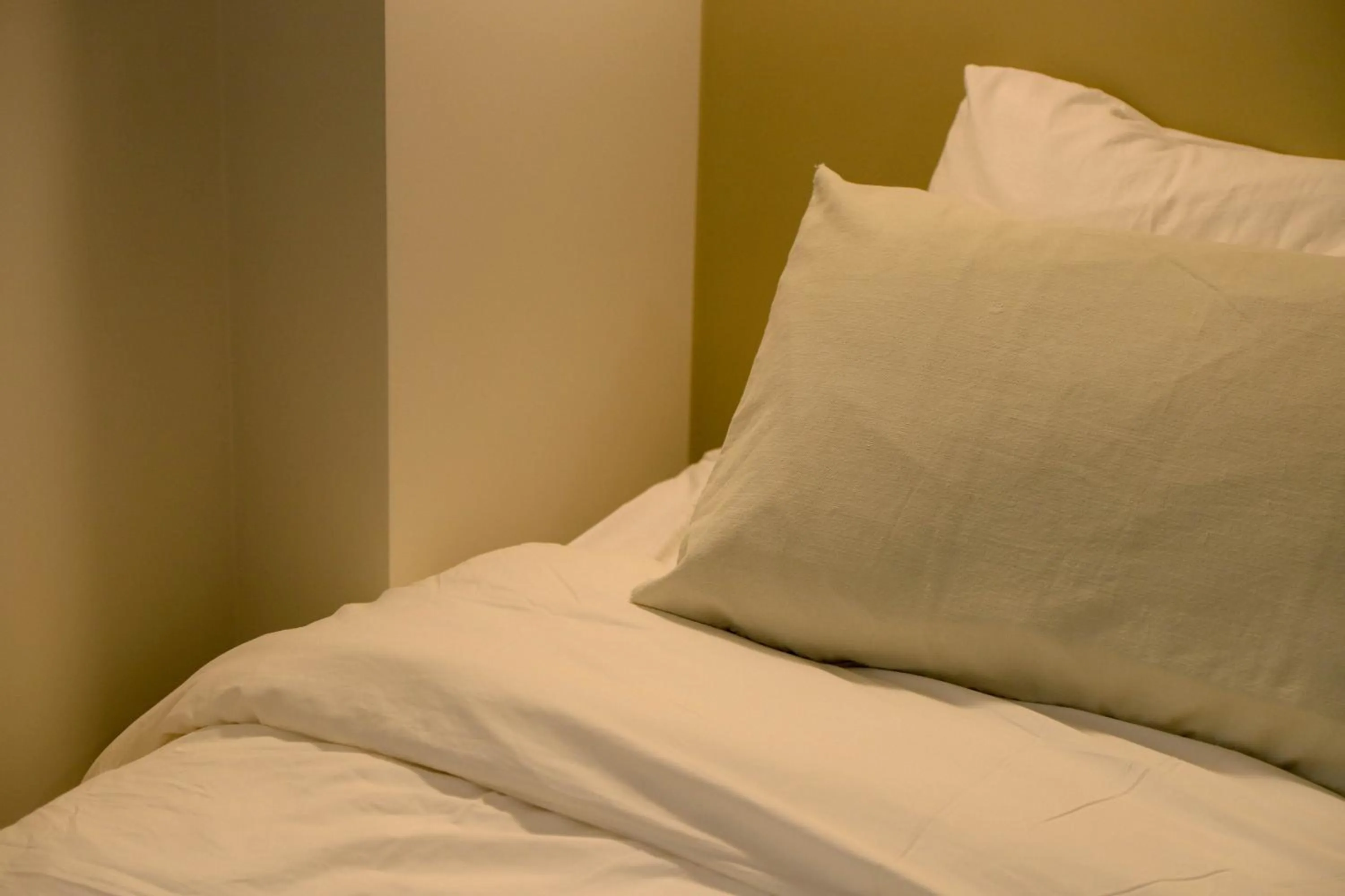 Deluxe Double Room in Upflo Hostel