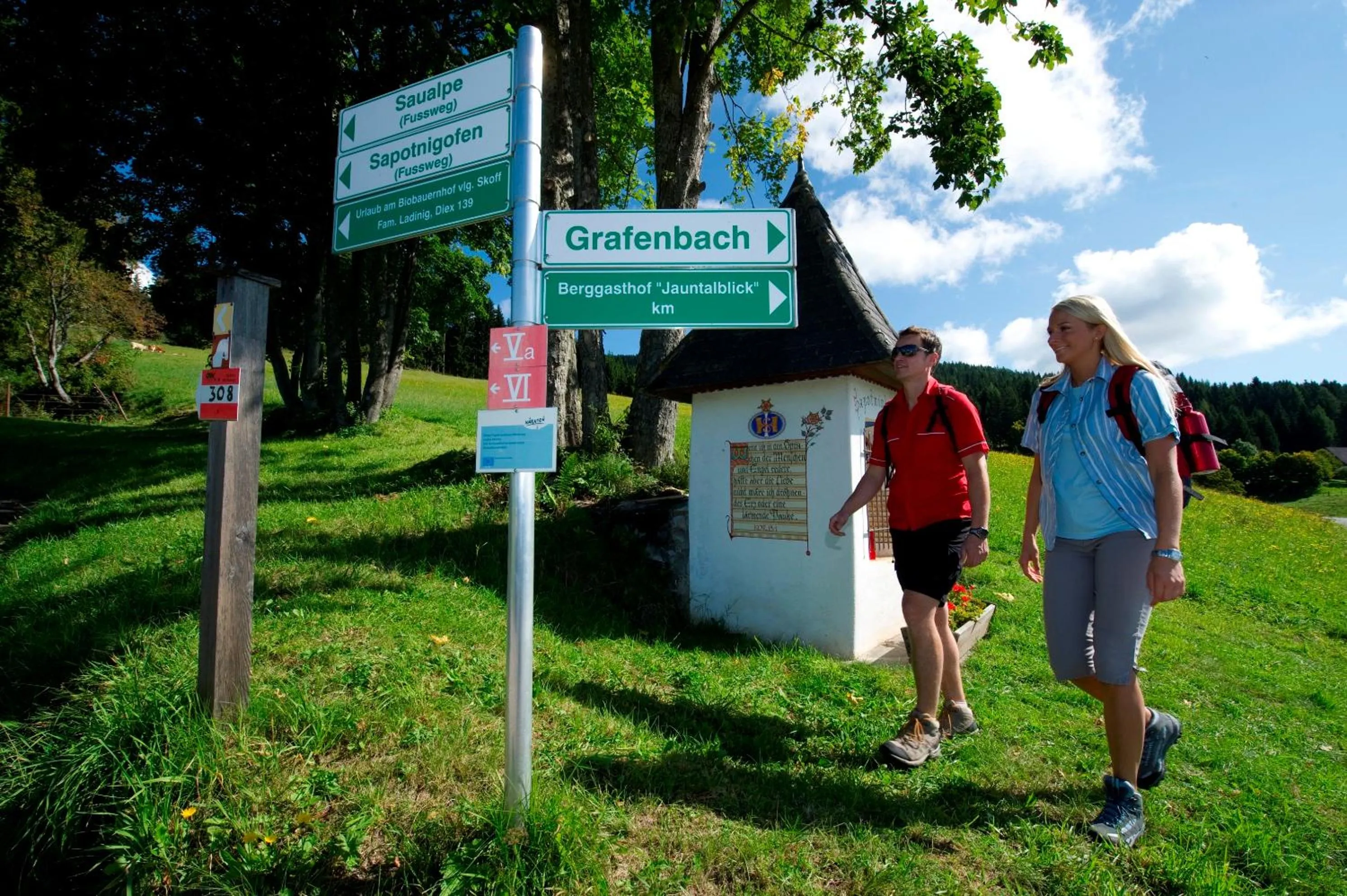 Hiking in Familienhotel Petschnighof