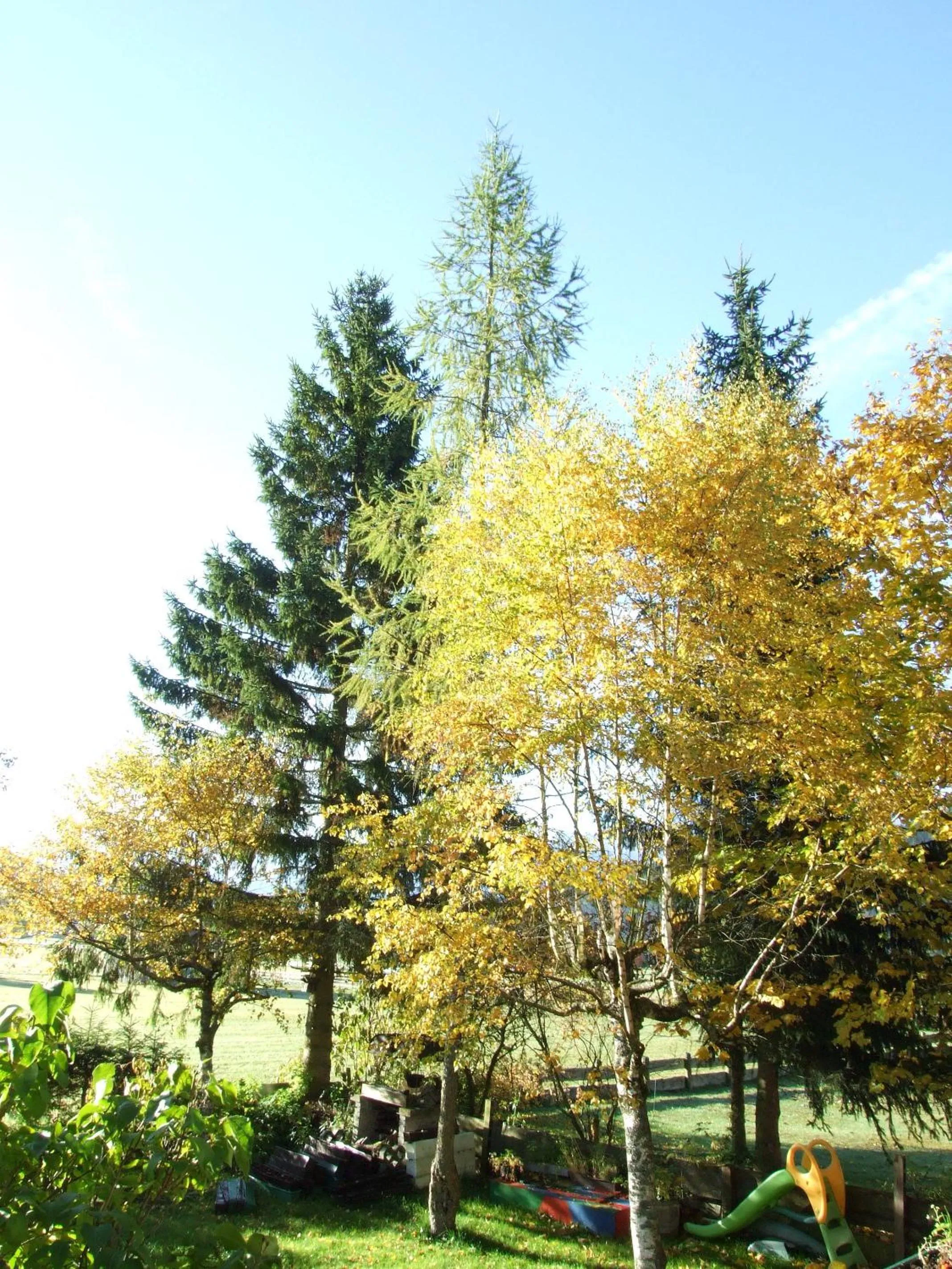 Facade/entrance in Hotel Menthof