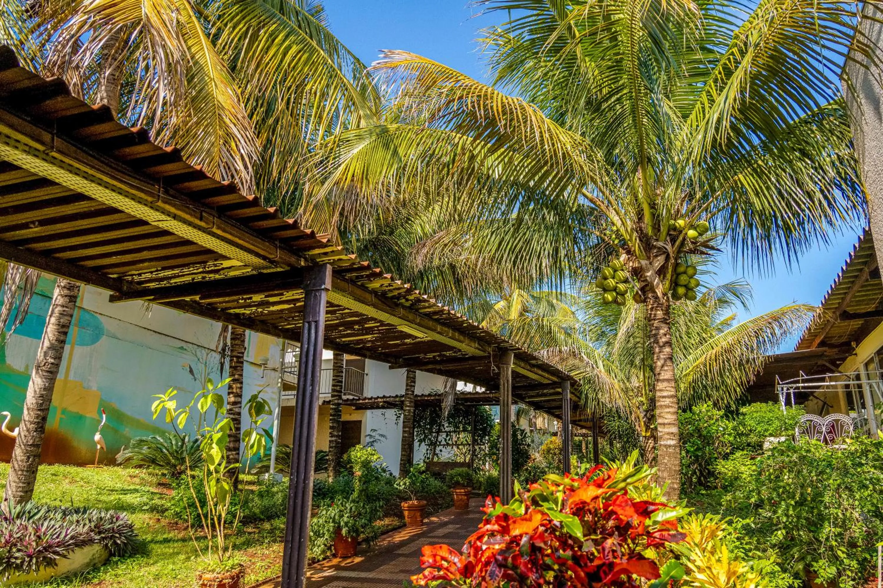 Day in VELINN Hotel Natureza Foz