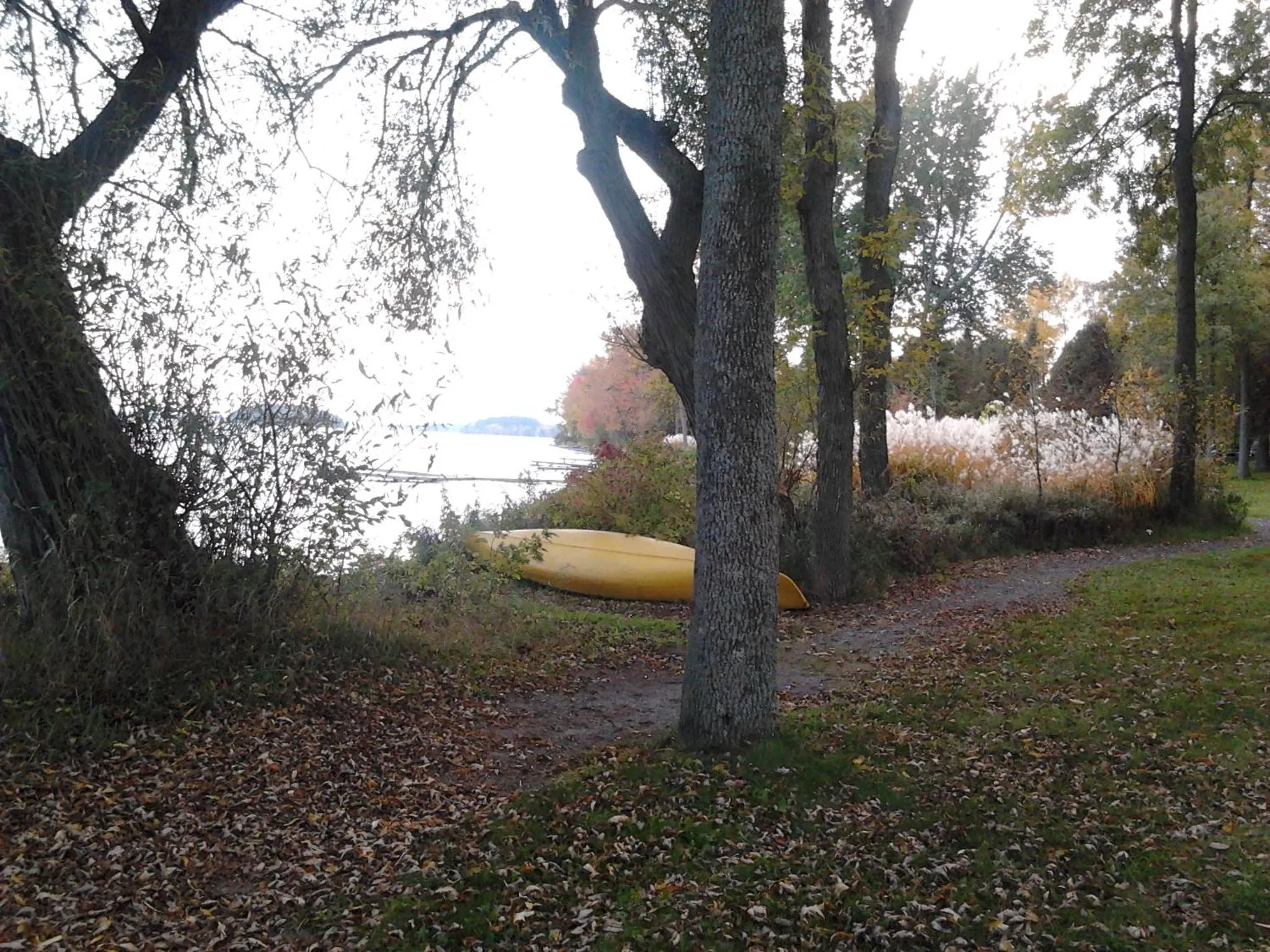 Natural landscape in Elmhirst's Resort