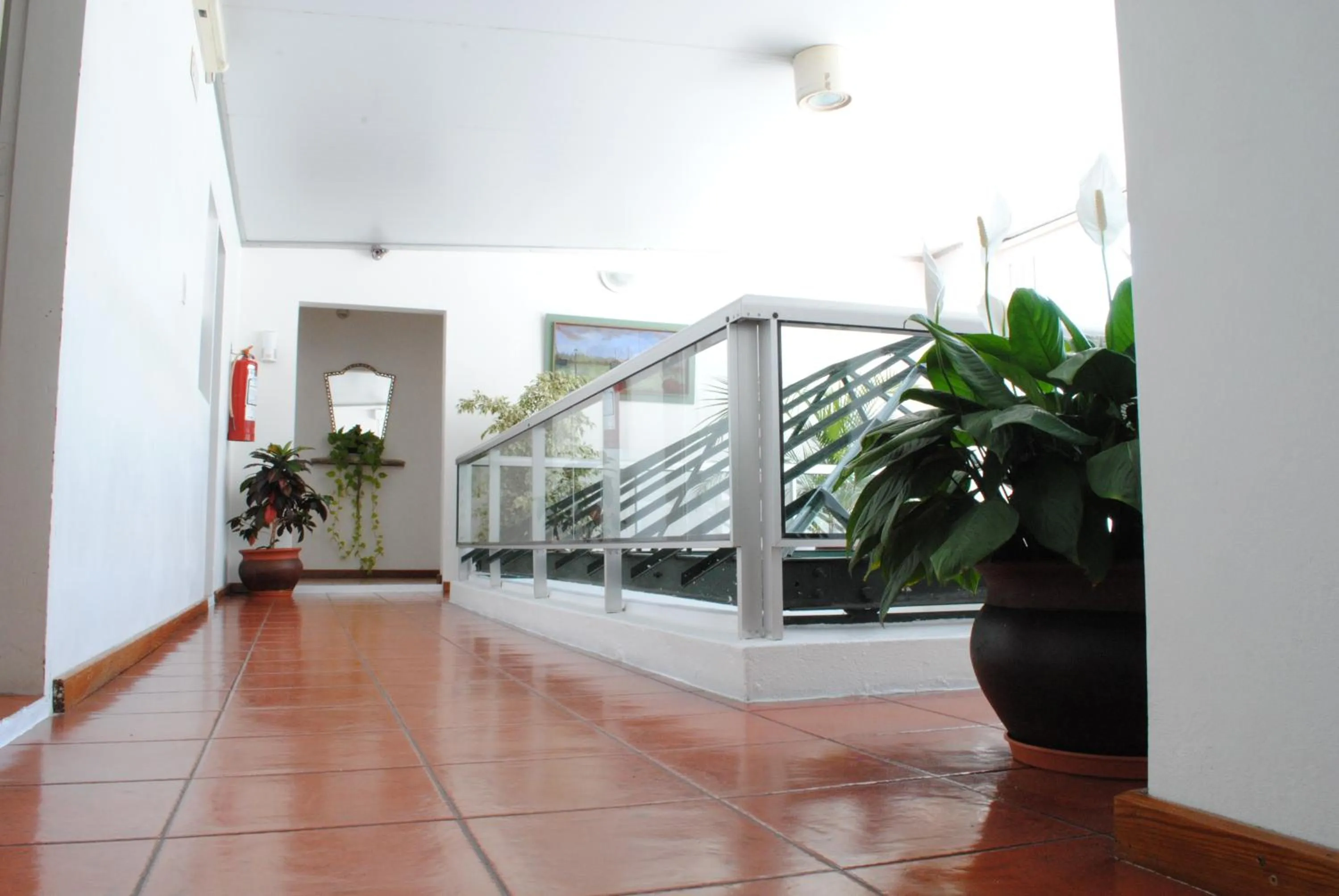 Balcony/Terrace in Hotel Romi