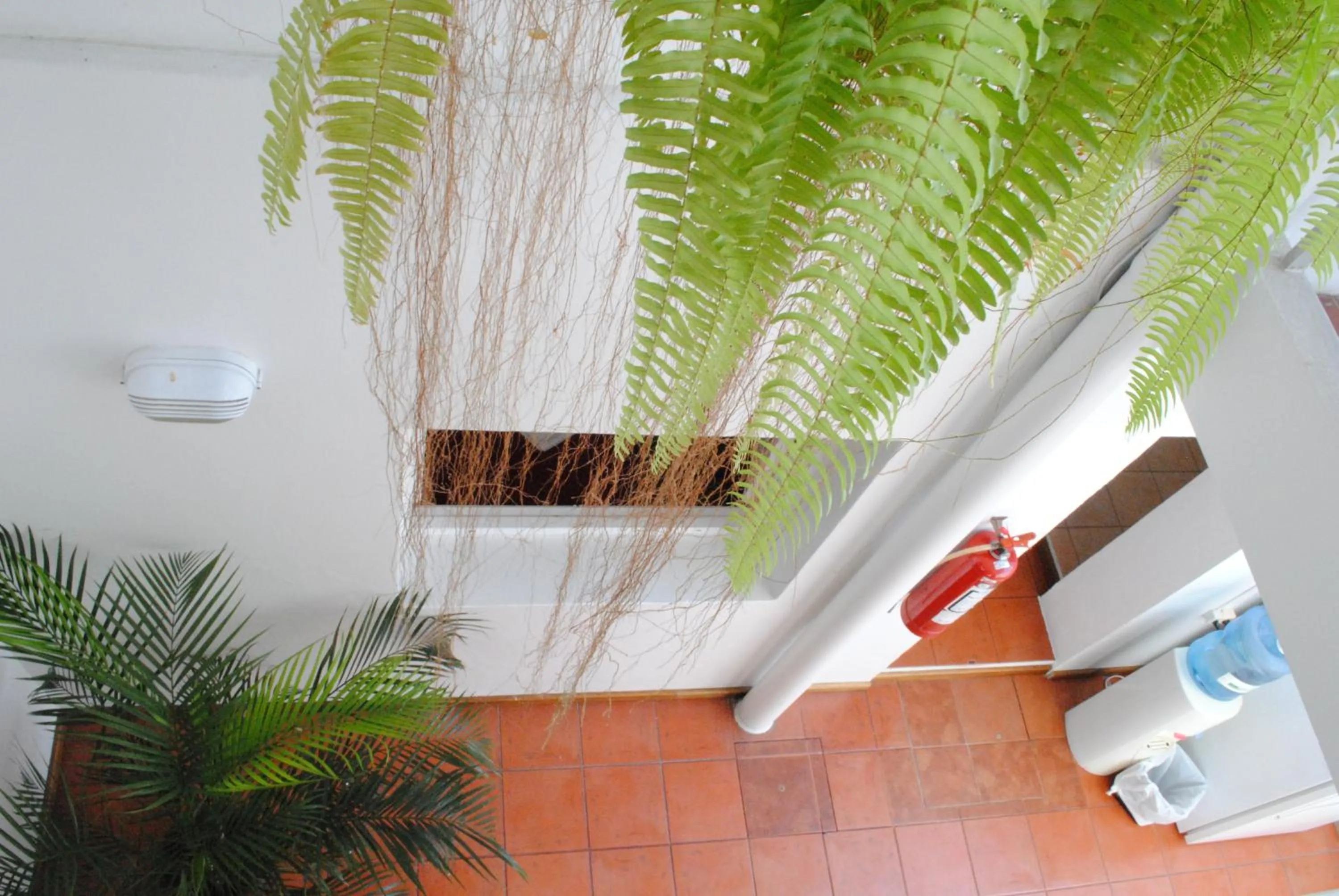 Decorative detail in Hotel Romi