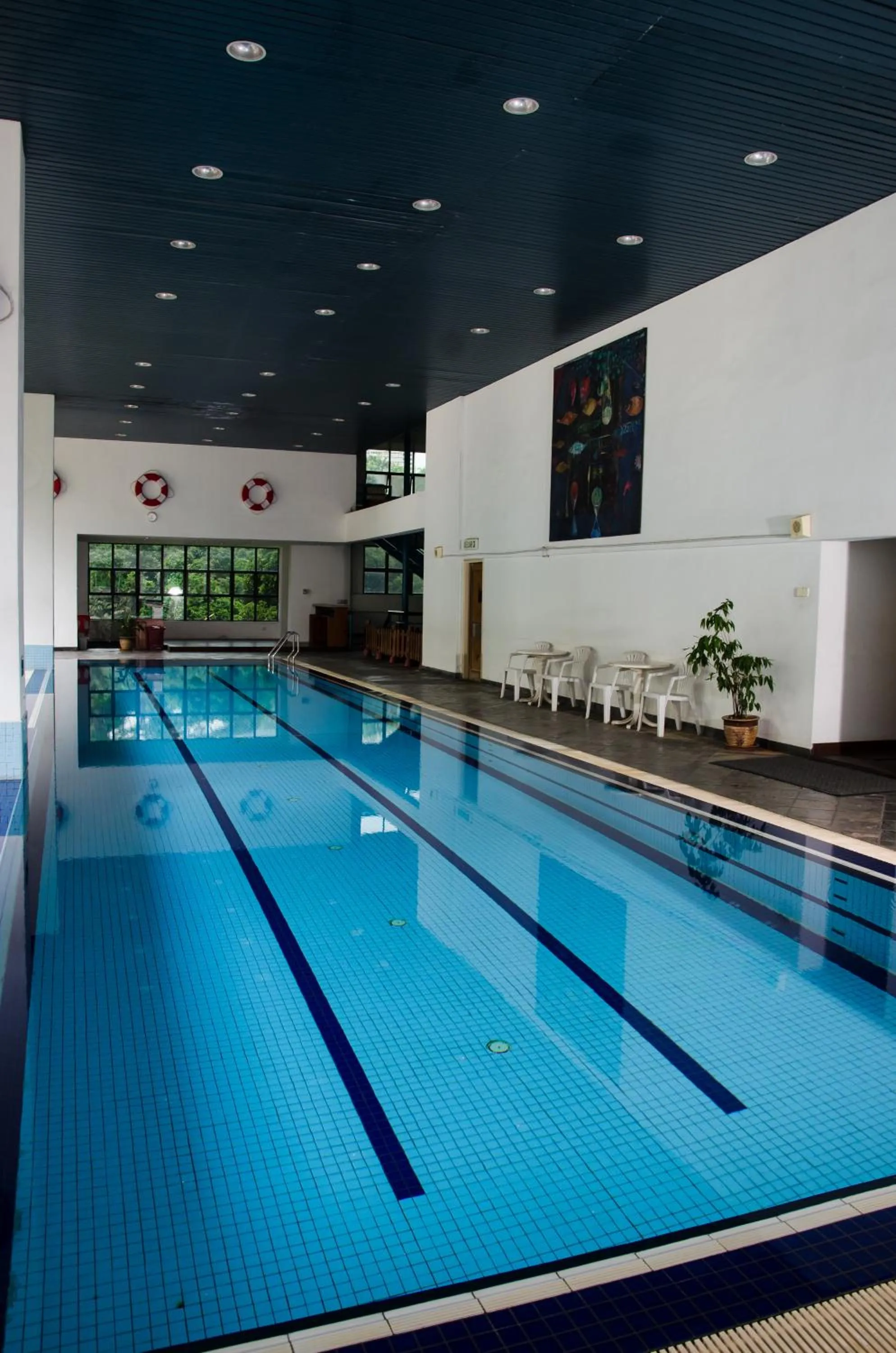Swimming pool in The Maple Suite