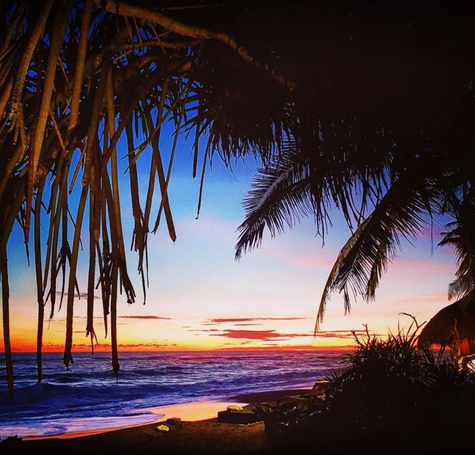 Natural landscape in Sejuk Beach Villas