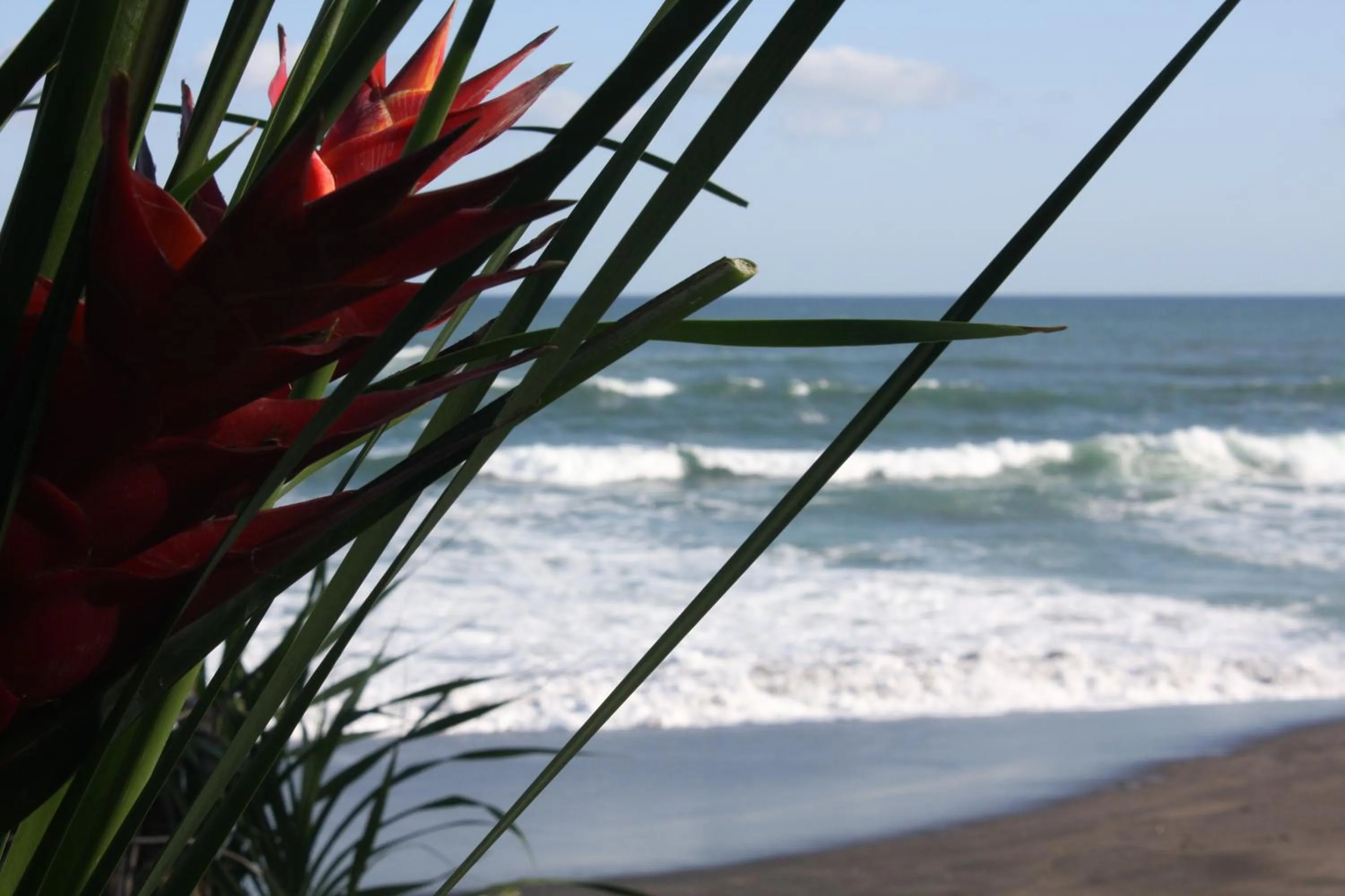 View (from property/room) in Sejuk Beach Villas