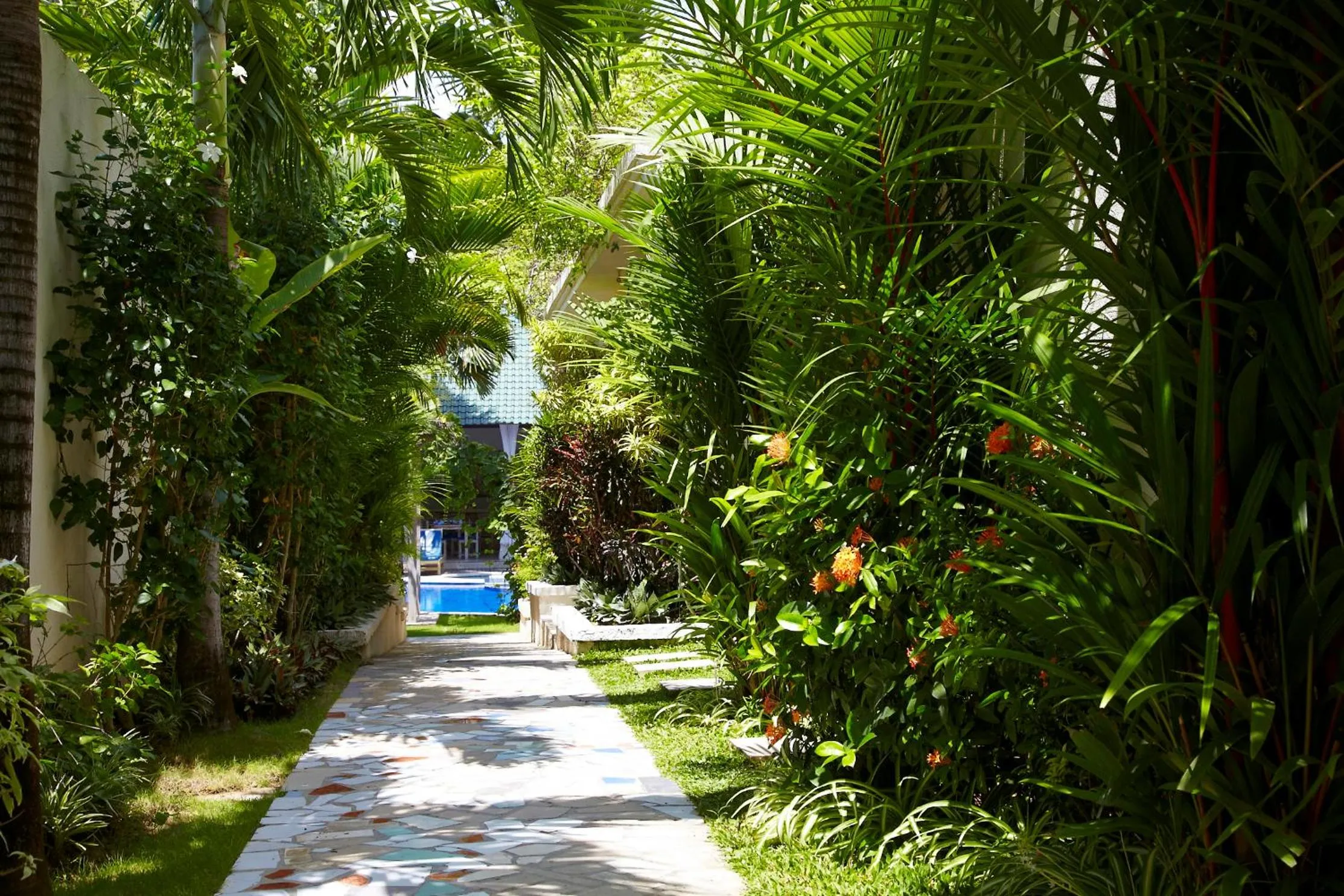 Garden in Artemis Villa Hotel