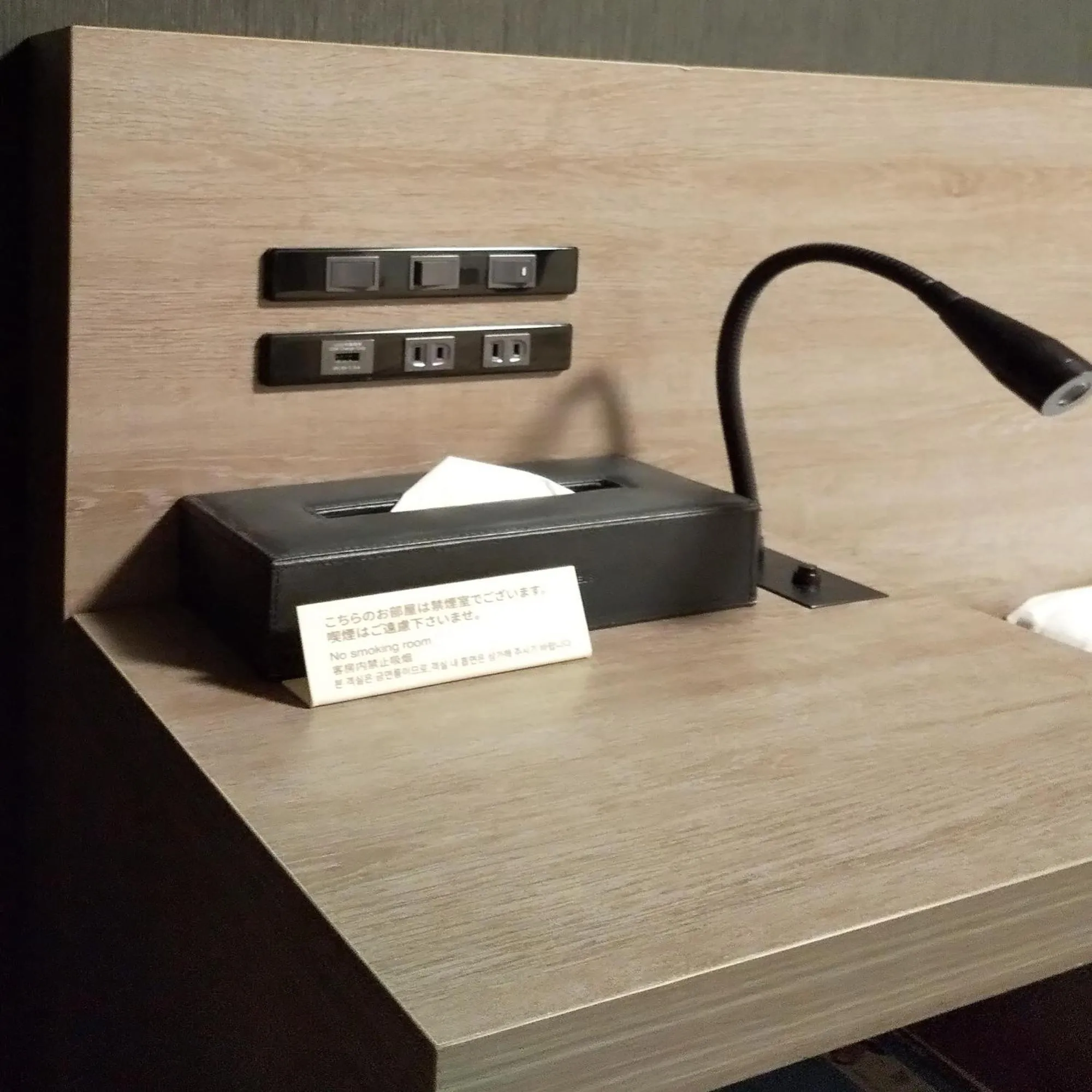 Other in Hotel Route-Inn Kawaguchiko