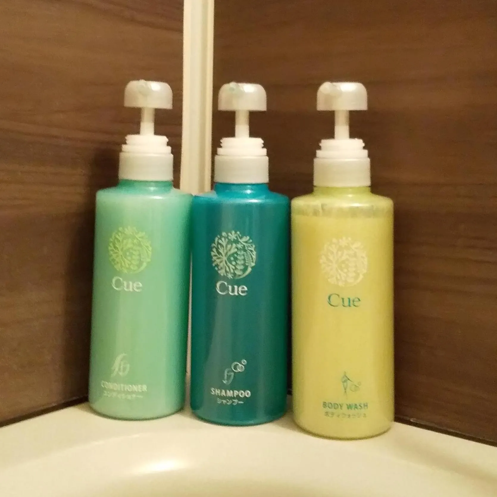 Other in Hotel Route-Inn Kawaguchiko