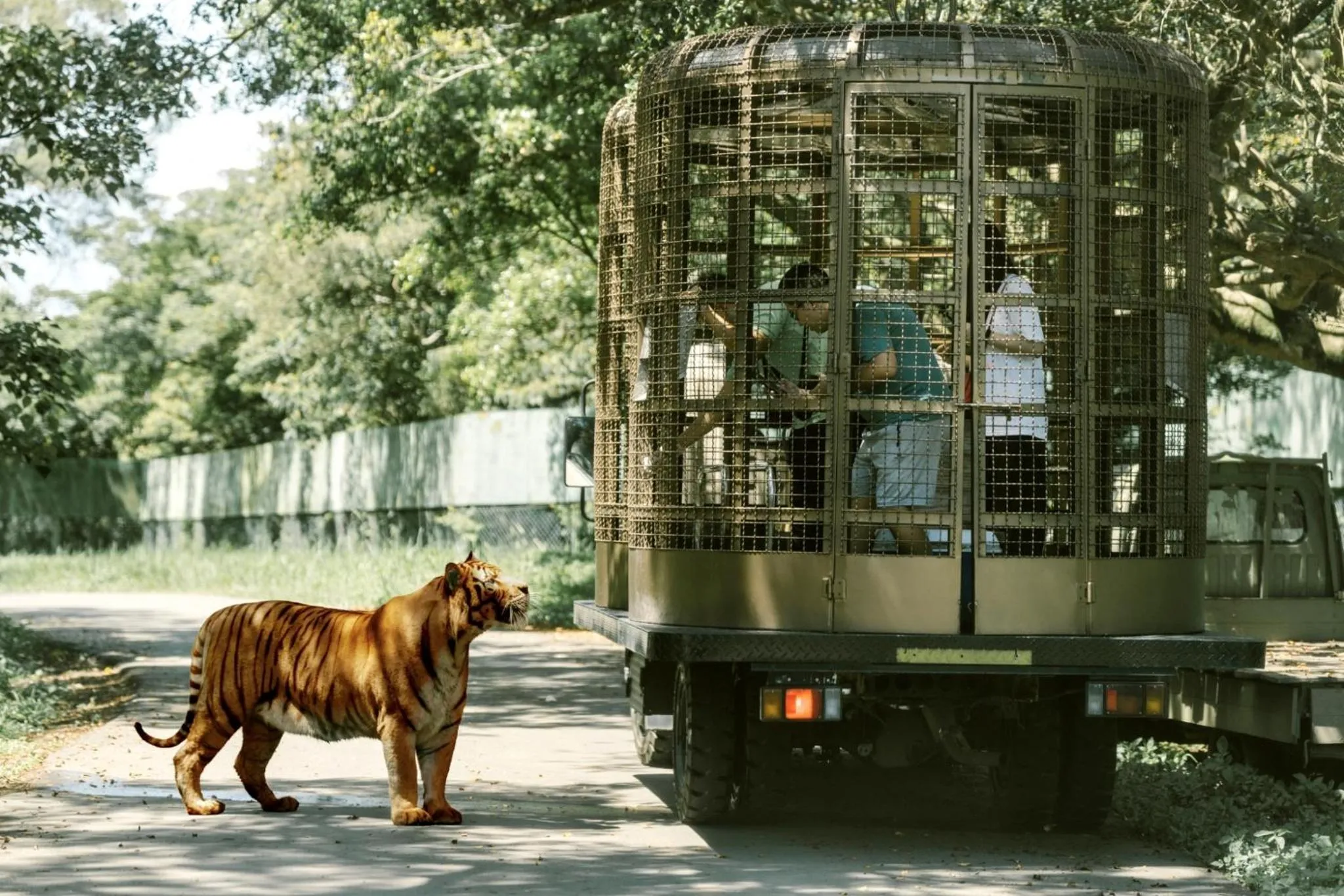 Activities in Leofoo Resort Guanshi