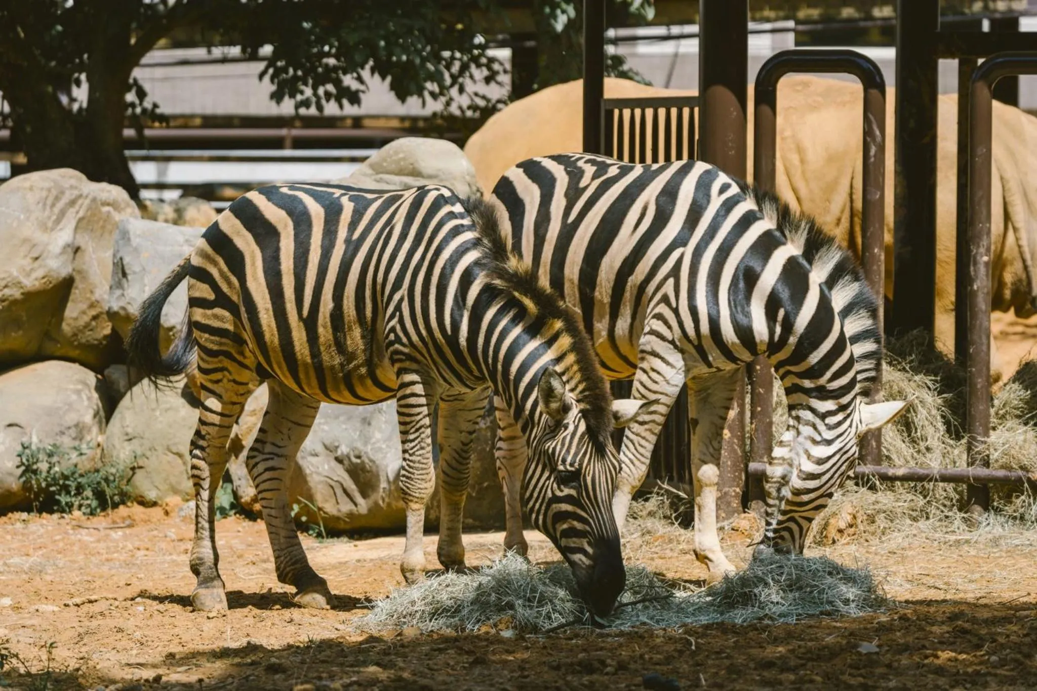 Garden view in Leofoo Resort Guanshi