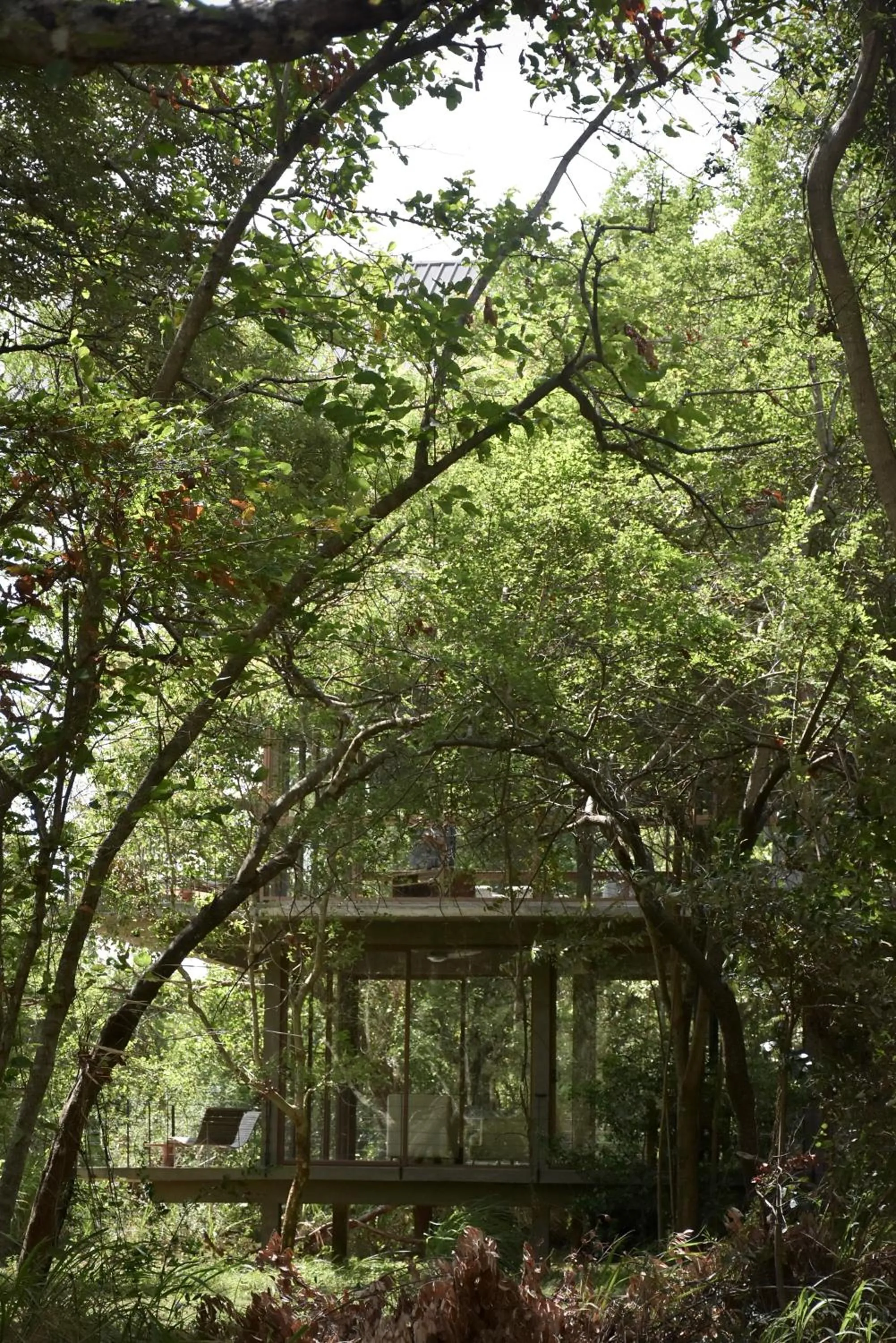 Natural landscape in Wild Grass Nature Resort