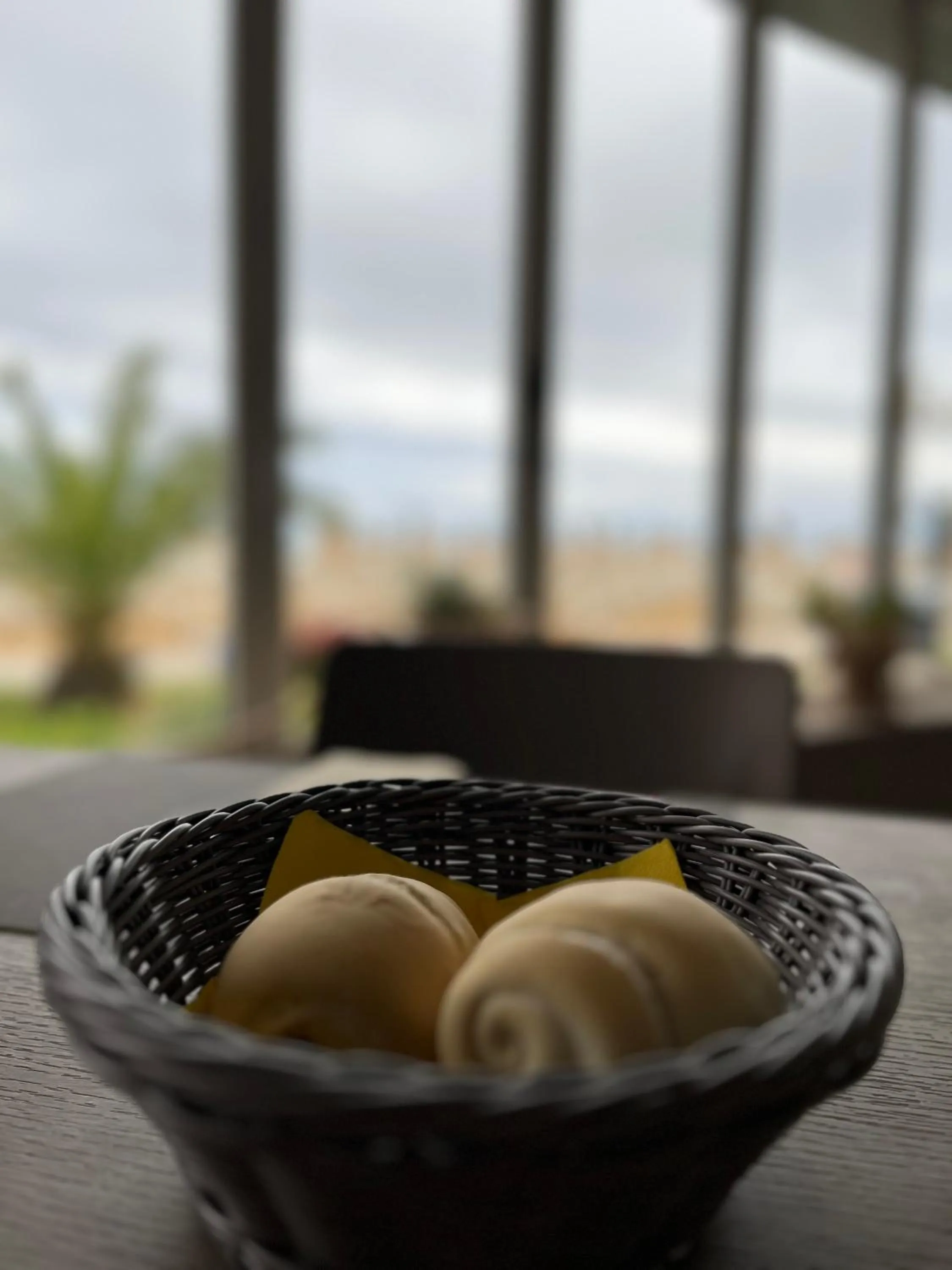 Food and drinks in Hotel Silva Frontemare