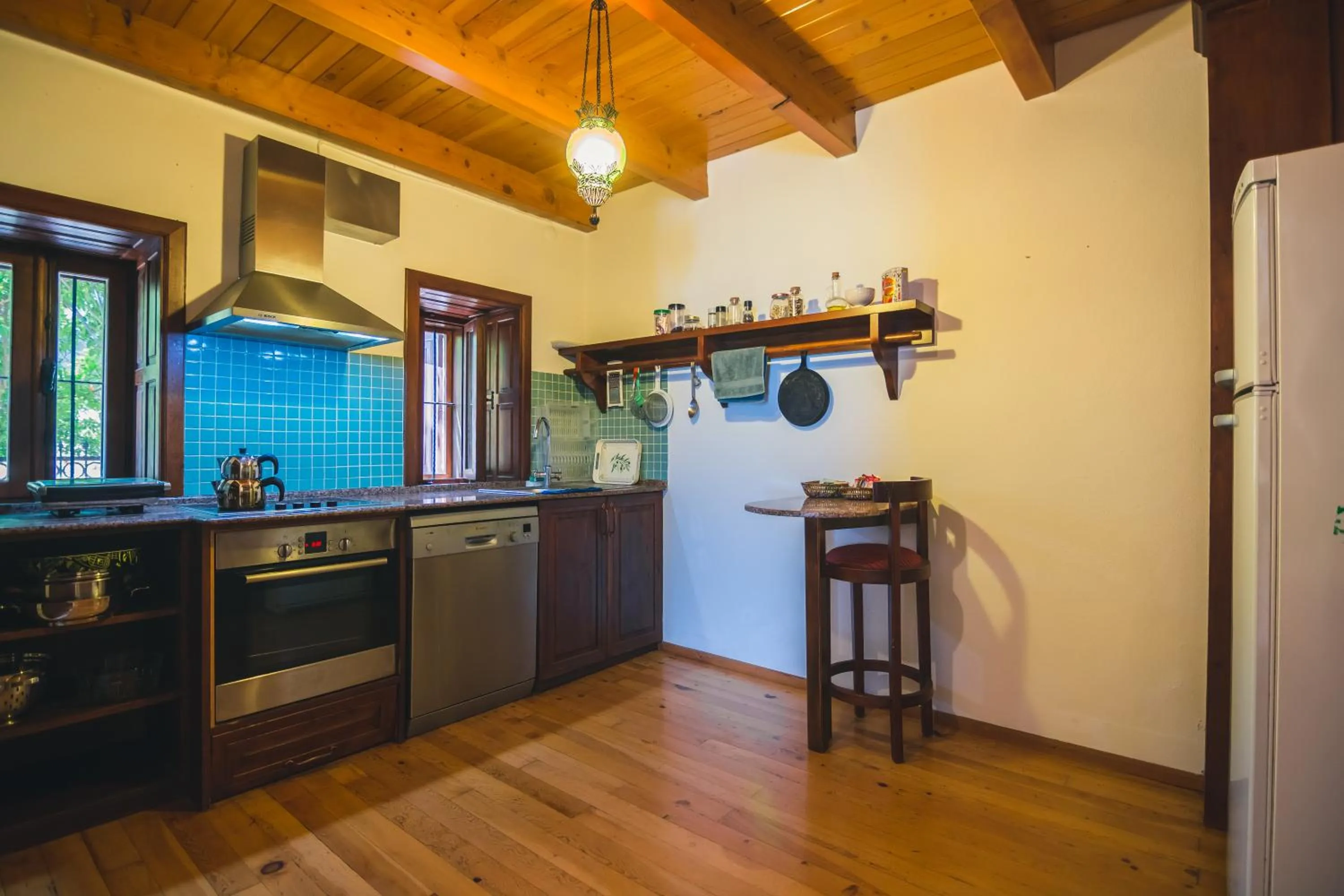 Kitchen or kitchenette in Hotel Villa Turka