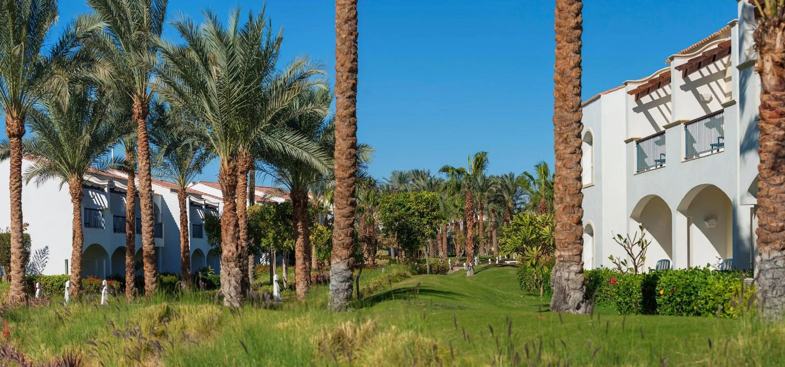 Garden in Reef Oasis Beach Aqua Park Resort