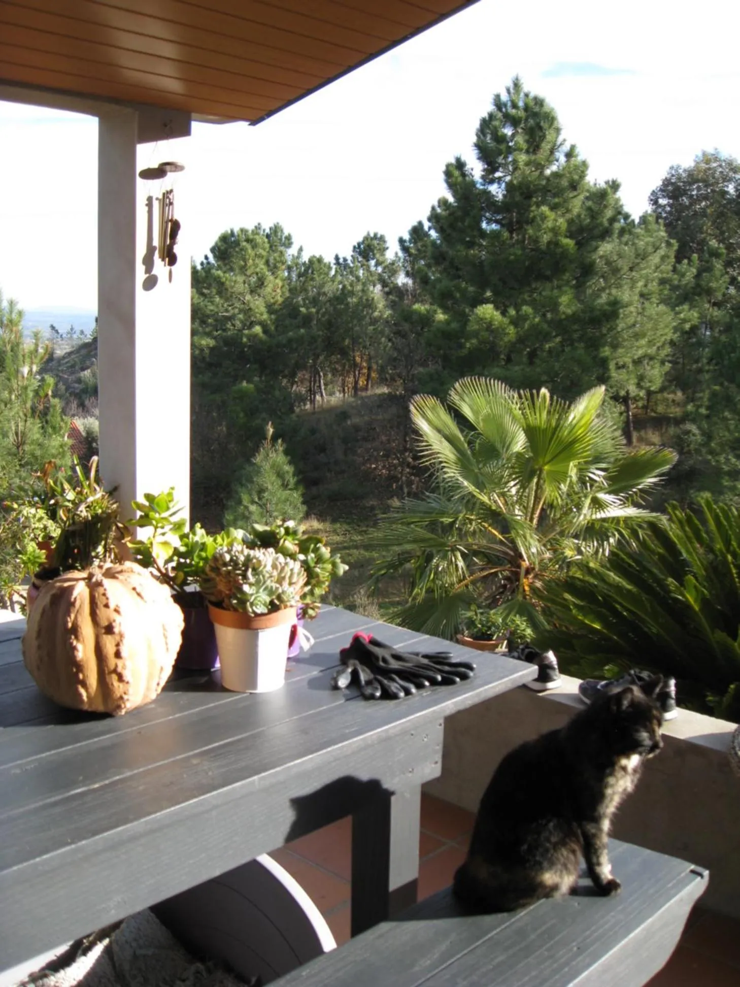 Casa "Quinta Souto da Ordem"