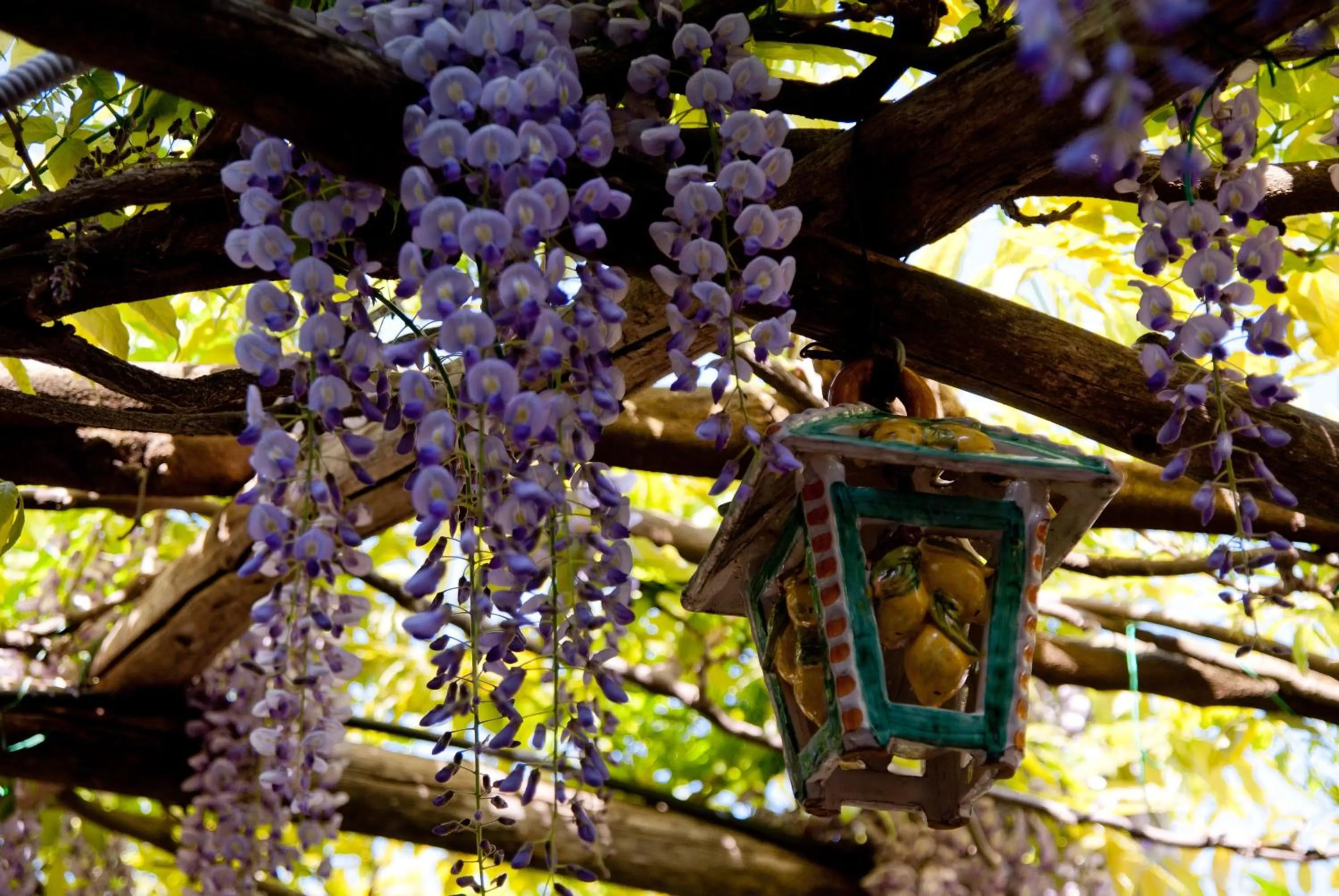 Garden in Il Roseto B&B