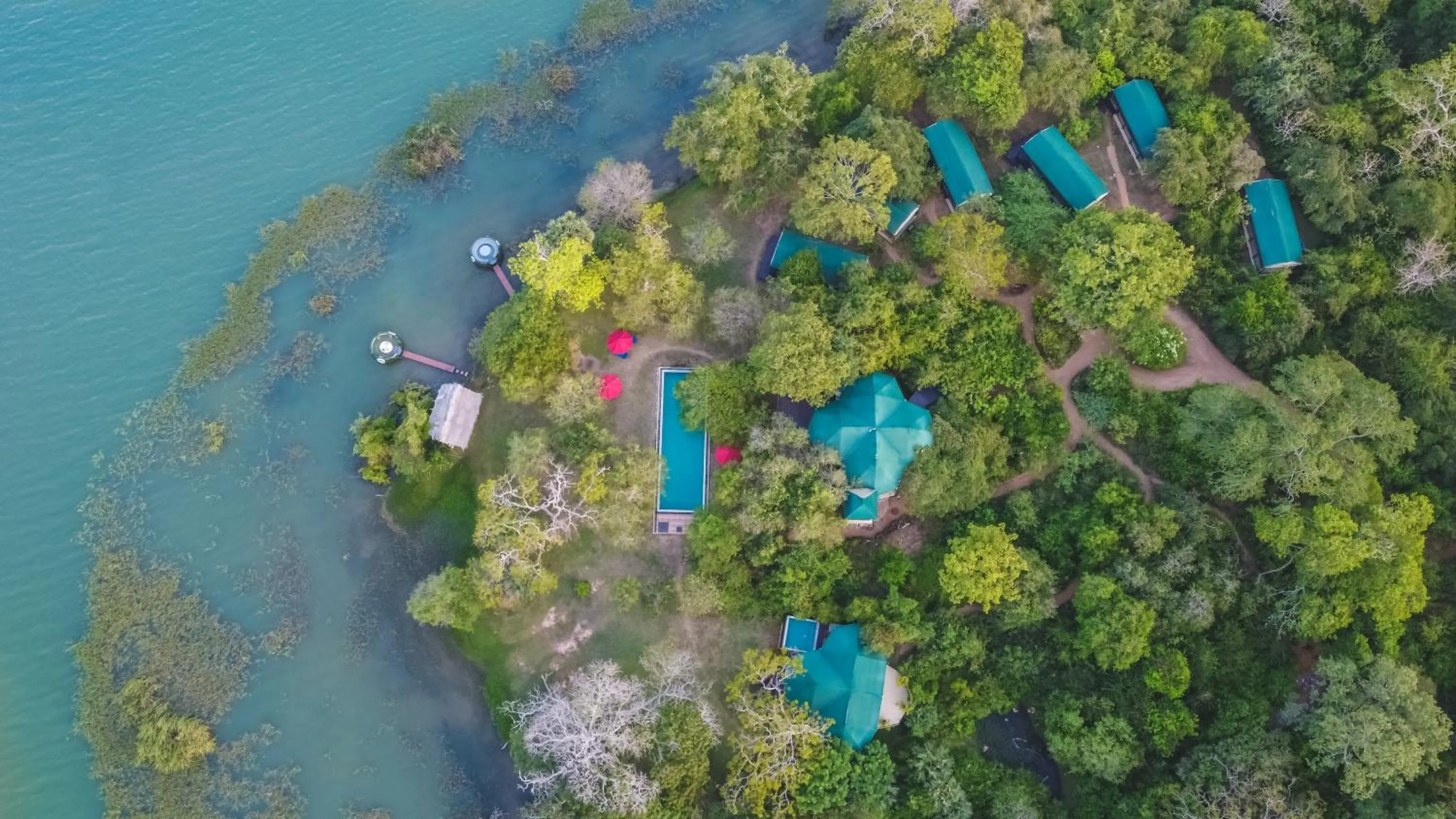 Property building in Flameback Eco Lodge