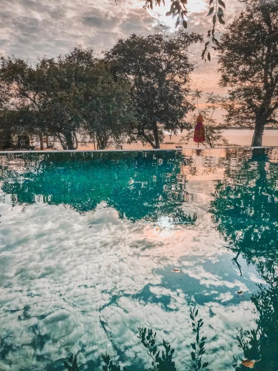 Natural landscape in Flameback Eco Lodge