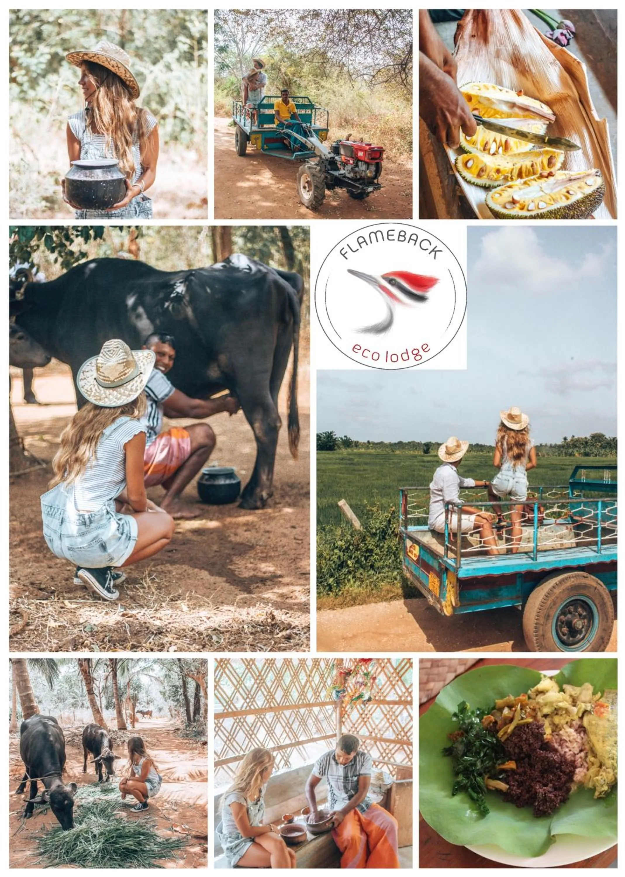 Neighbourhood in Flameback Eco Lodge