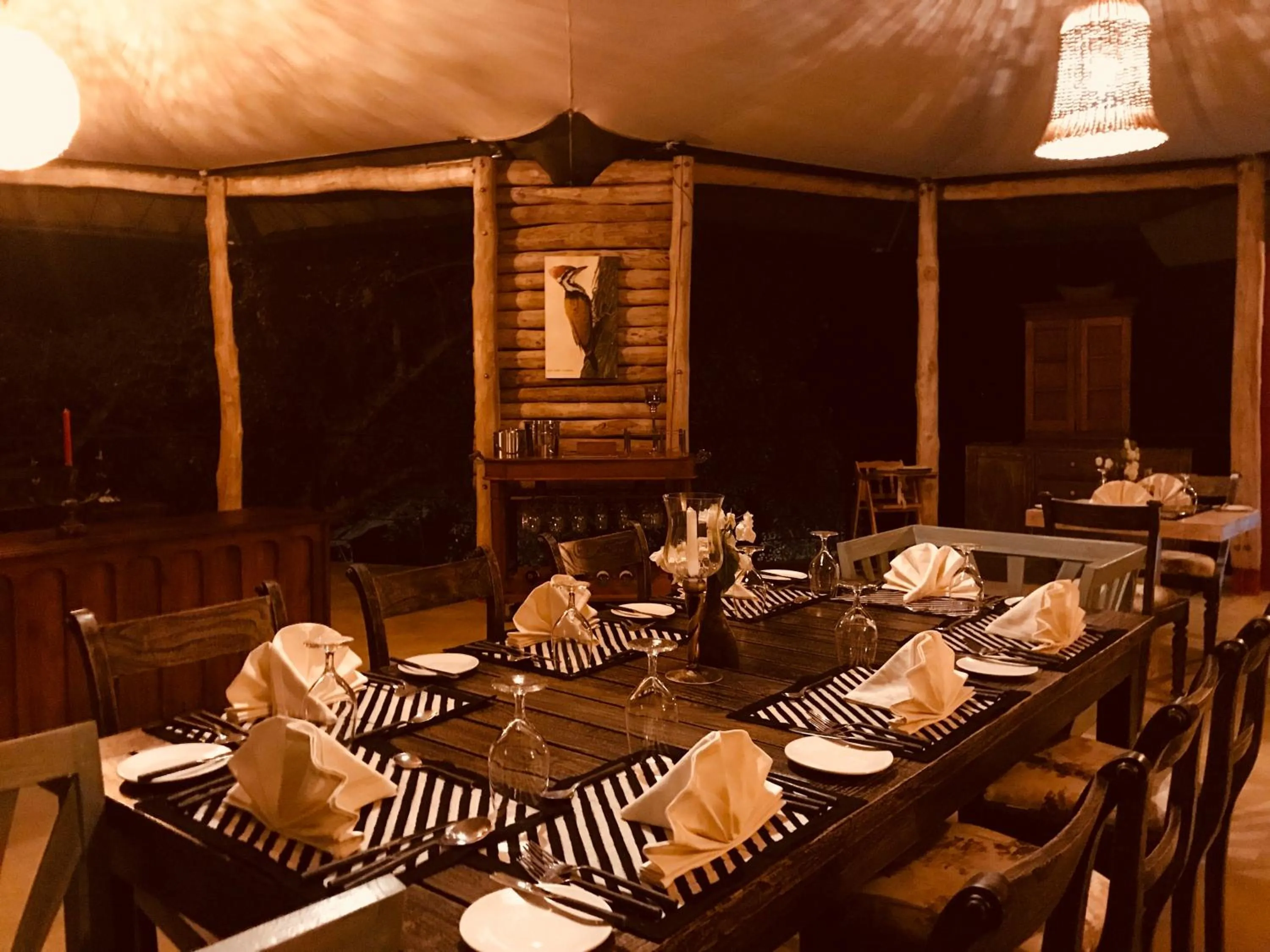 Living room in Flameback Eco Lodge