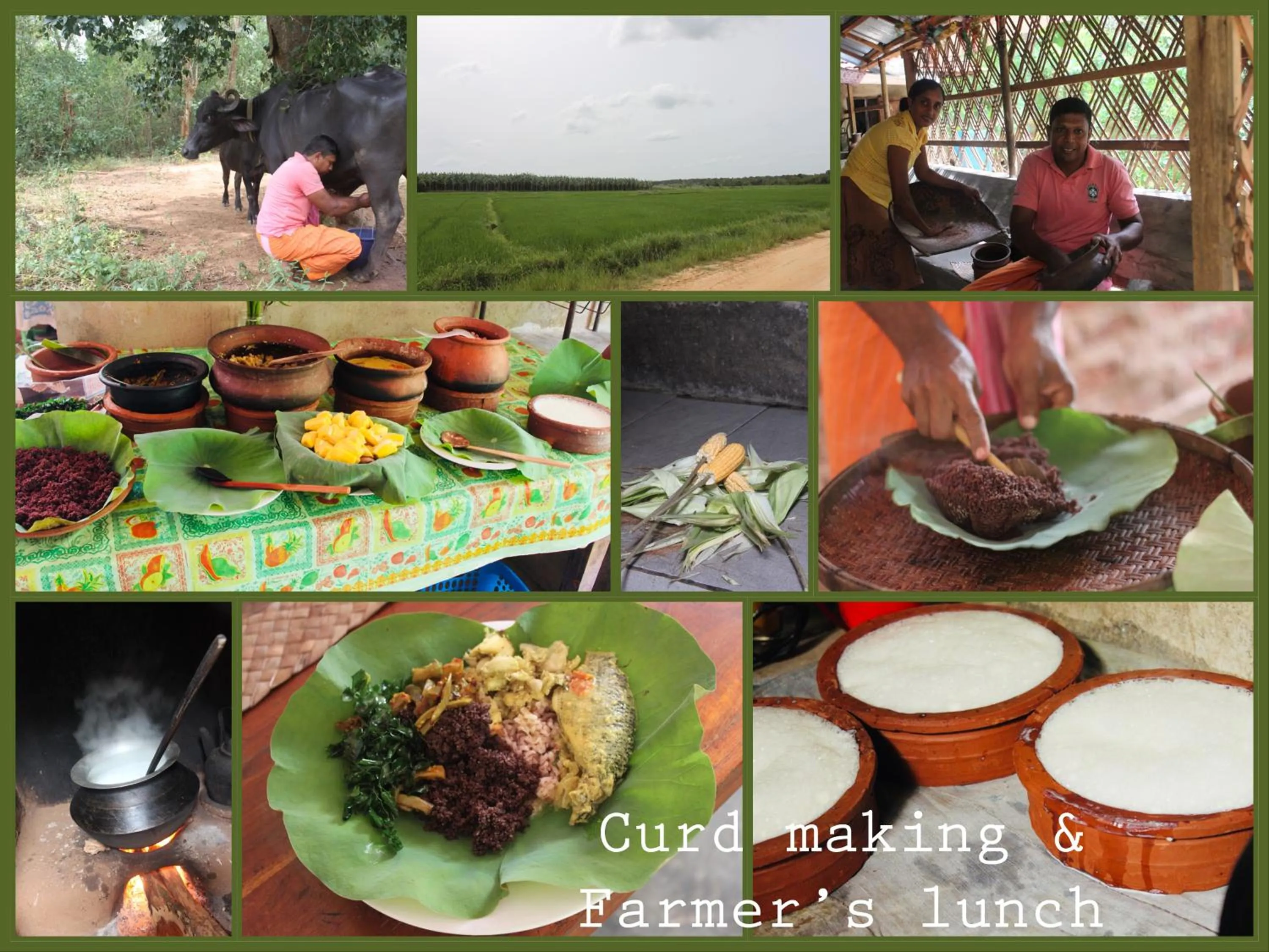 Neighbourhood in Flameback Eco Lodge