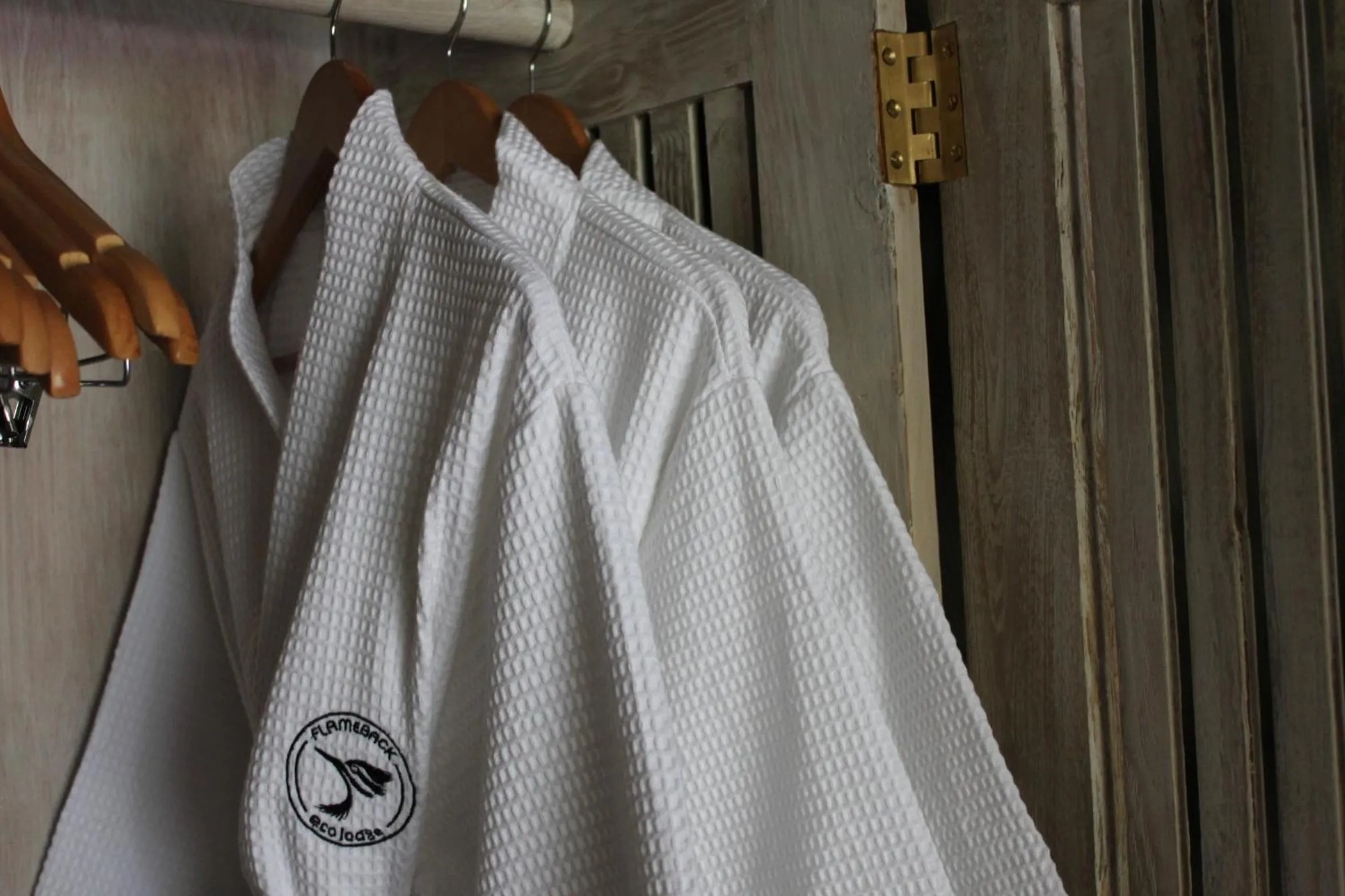 Other in Flameback Eco Lodge