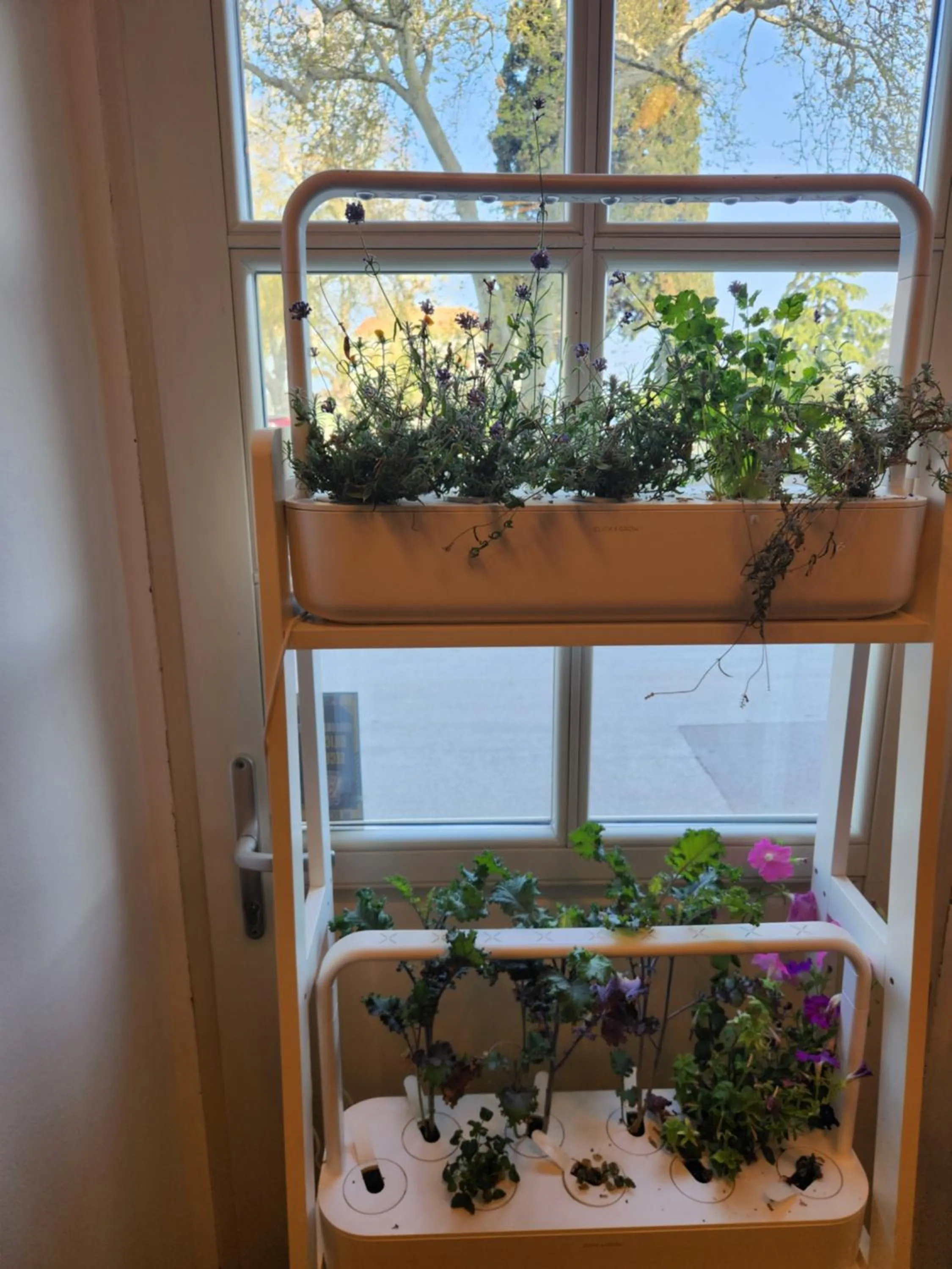 Restaurant/places to eat in Hotel Amfiteatar