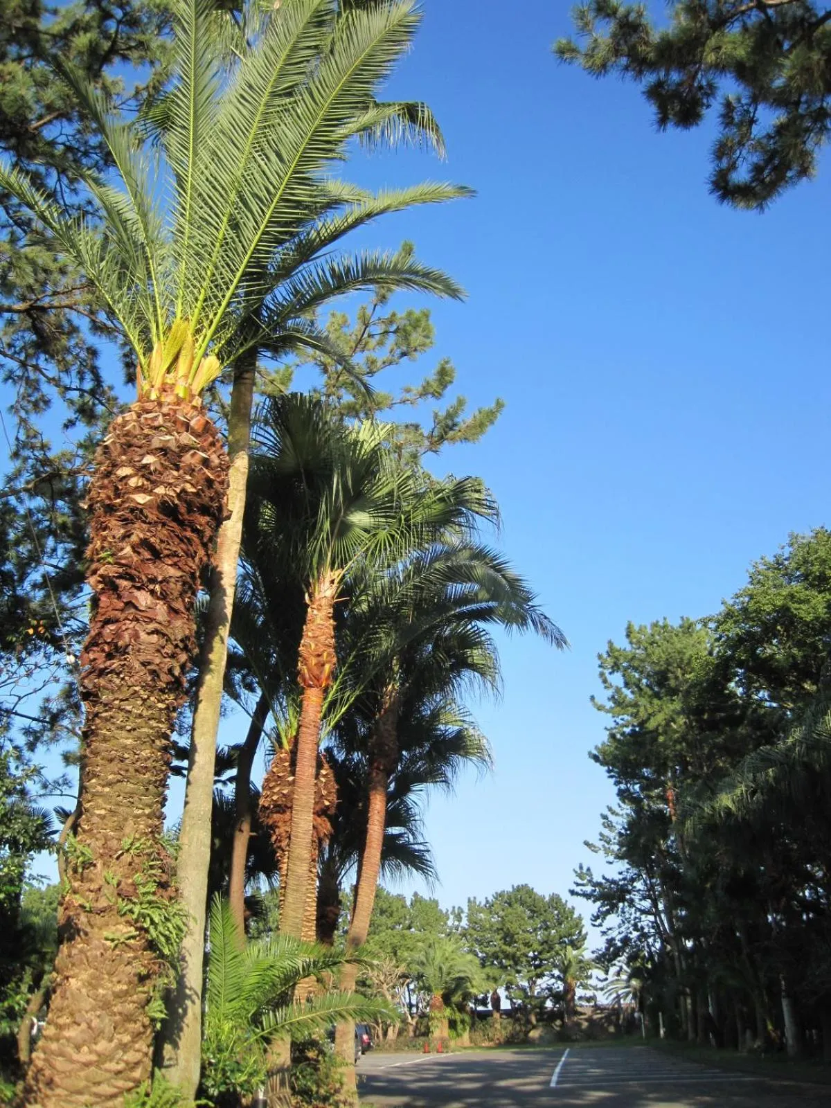 Property building in Hotel Tetora Resort Shizuoka Yaizu