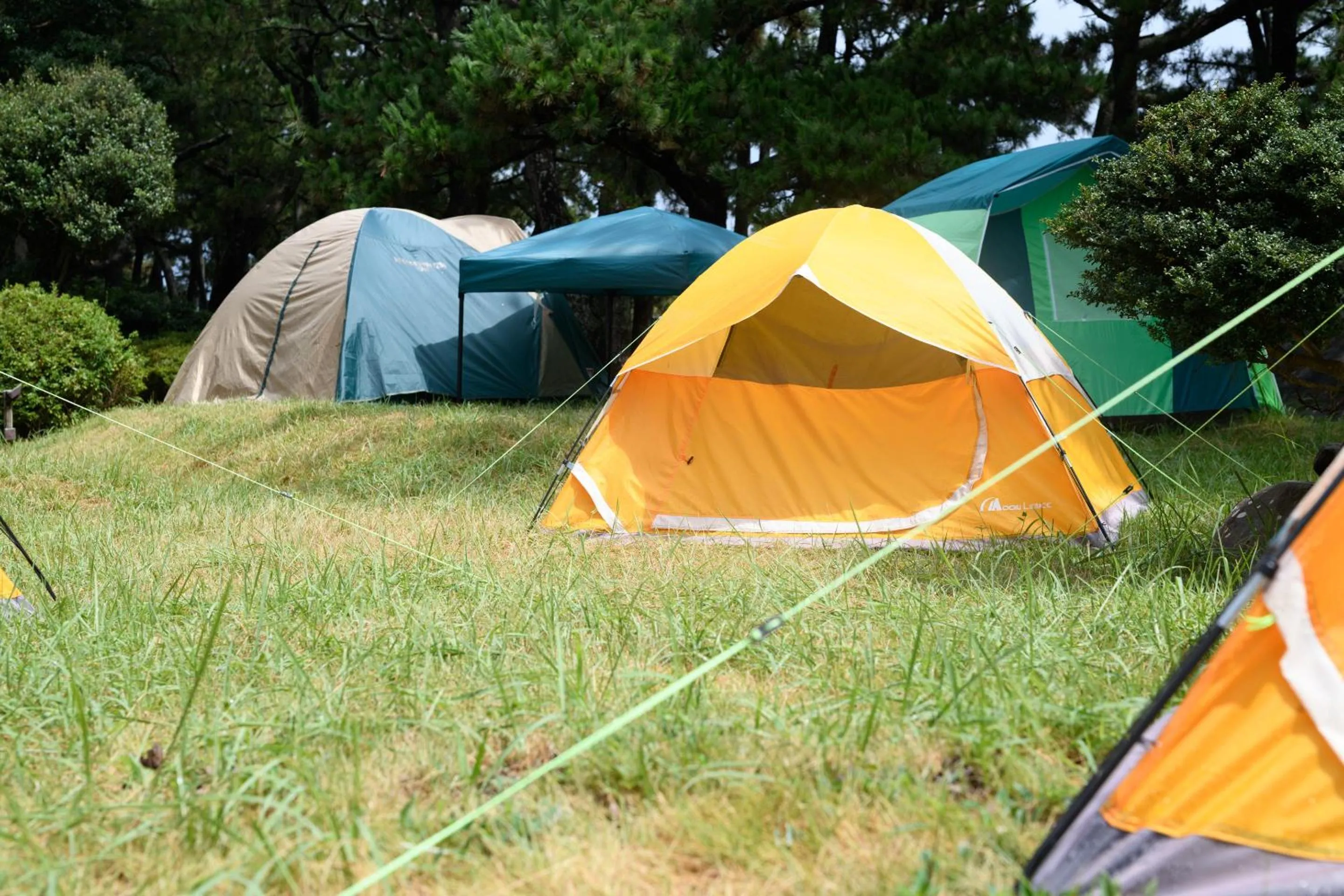 Area and facilities in Hotel Tetora Resort Shizuoka Yaizu