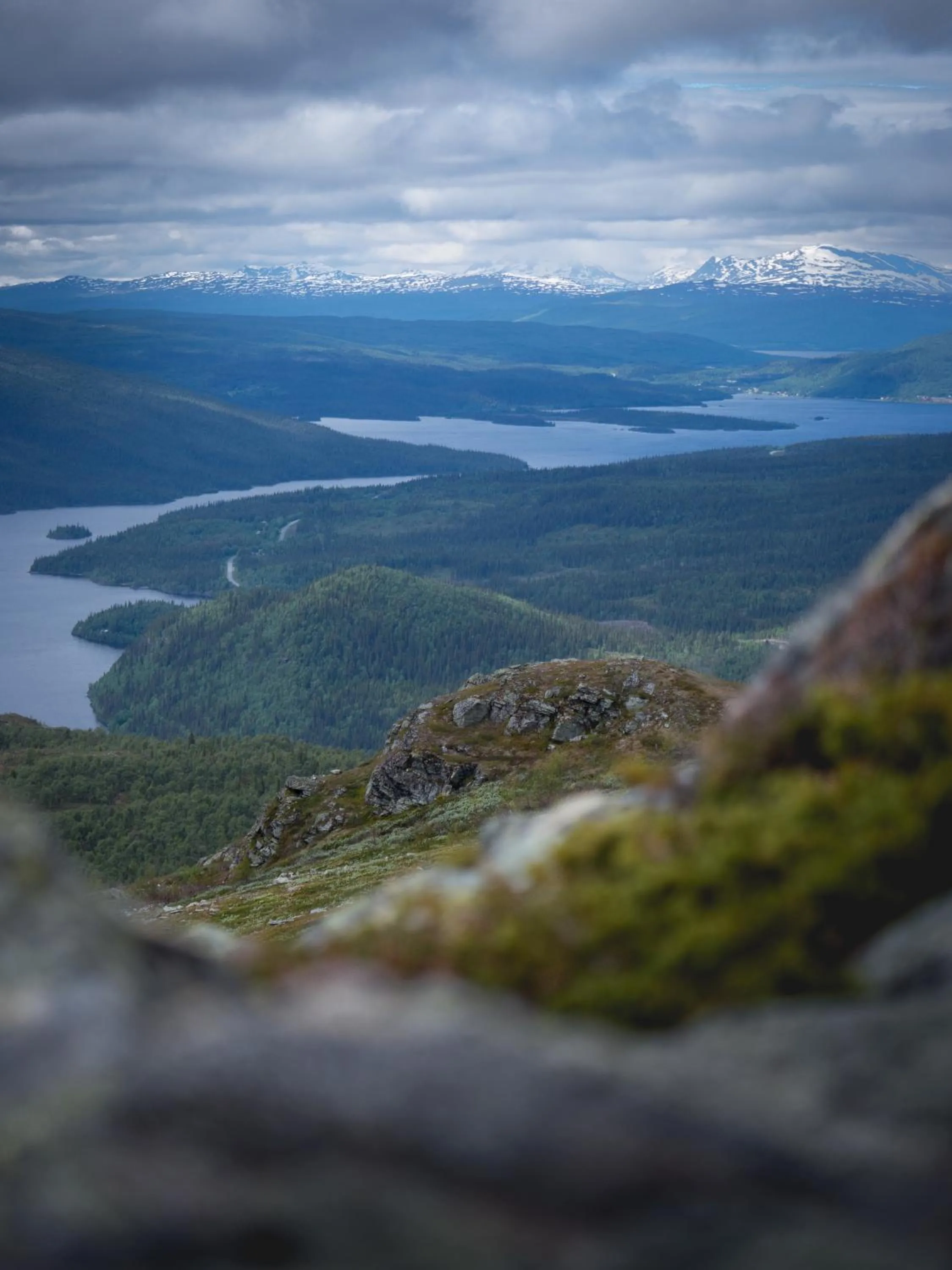 Natural landscape in STF Hemavans Fjällcenter